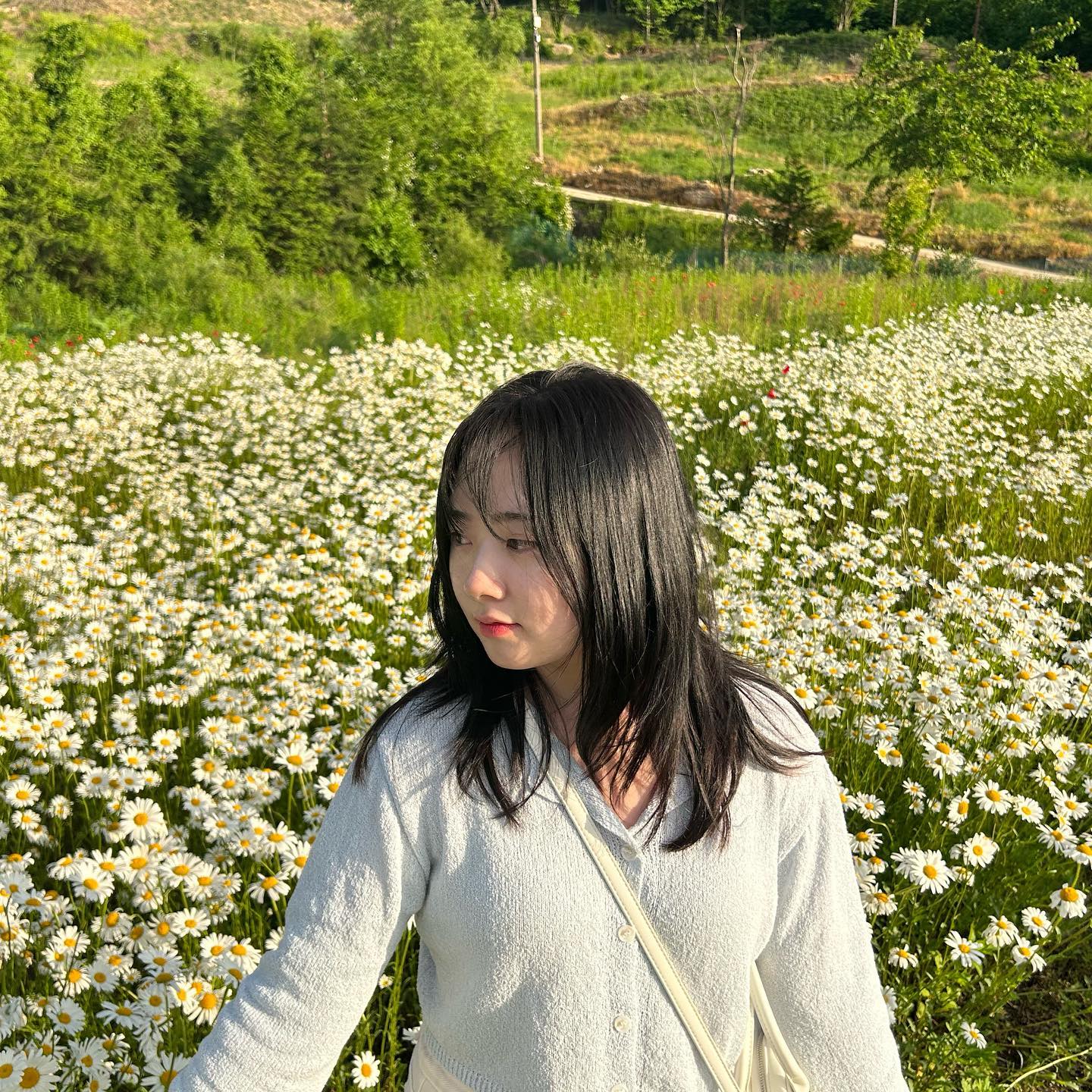 행보케던 무주🌼🍀