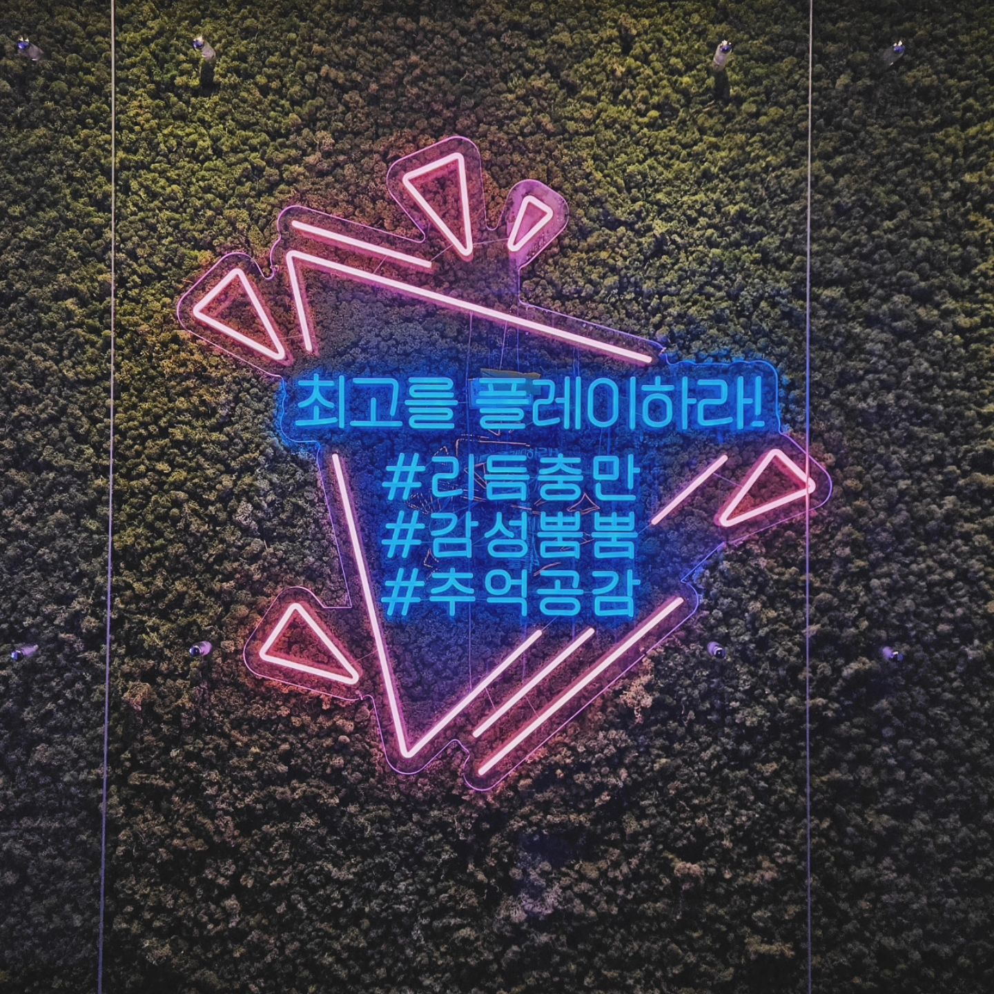 청도 나들이 🩵

#여행기록 #추억
#한국코미디타운 
#아이와가볼만한곳
