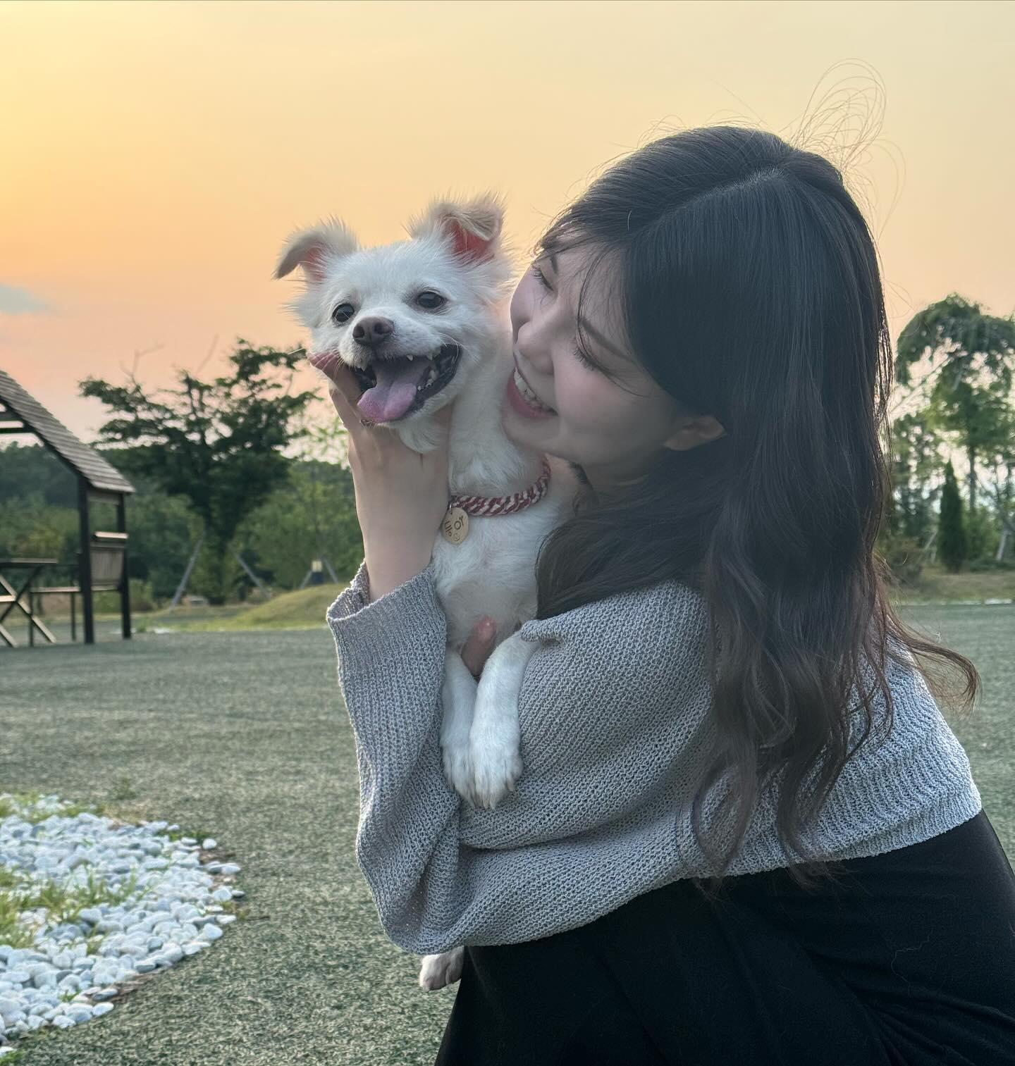 🐶🐶🐶

#오던 #경산카페 #경산애견카페 #경산애견동반