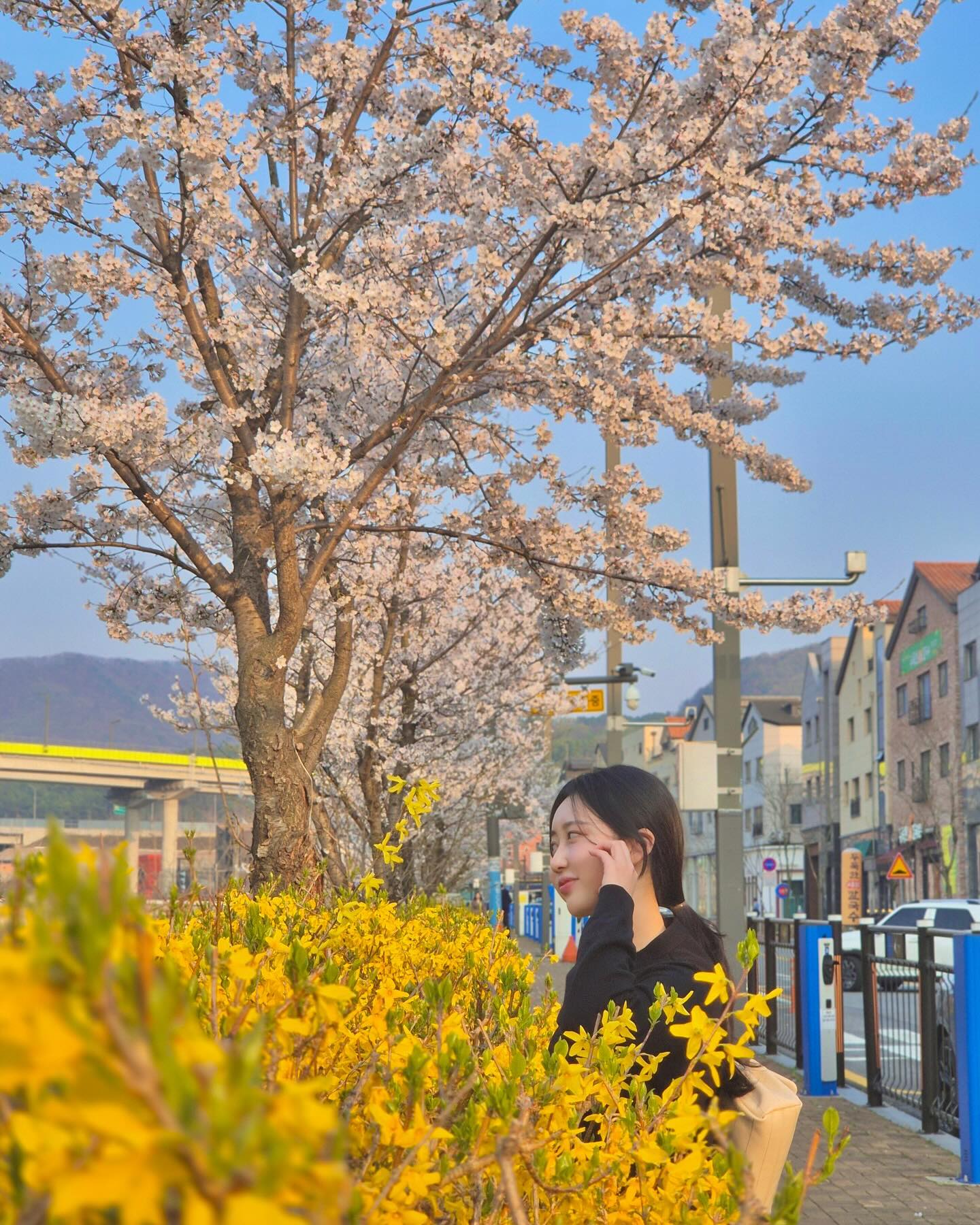 뭔가 필카 감성처럼 나왔당 _ 🌸🌼