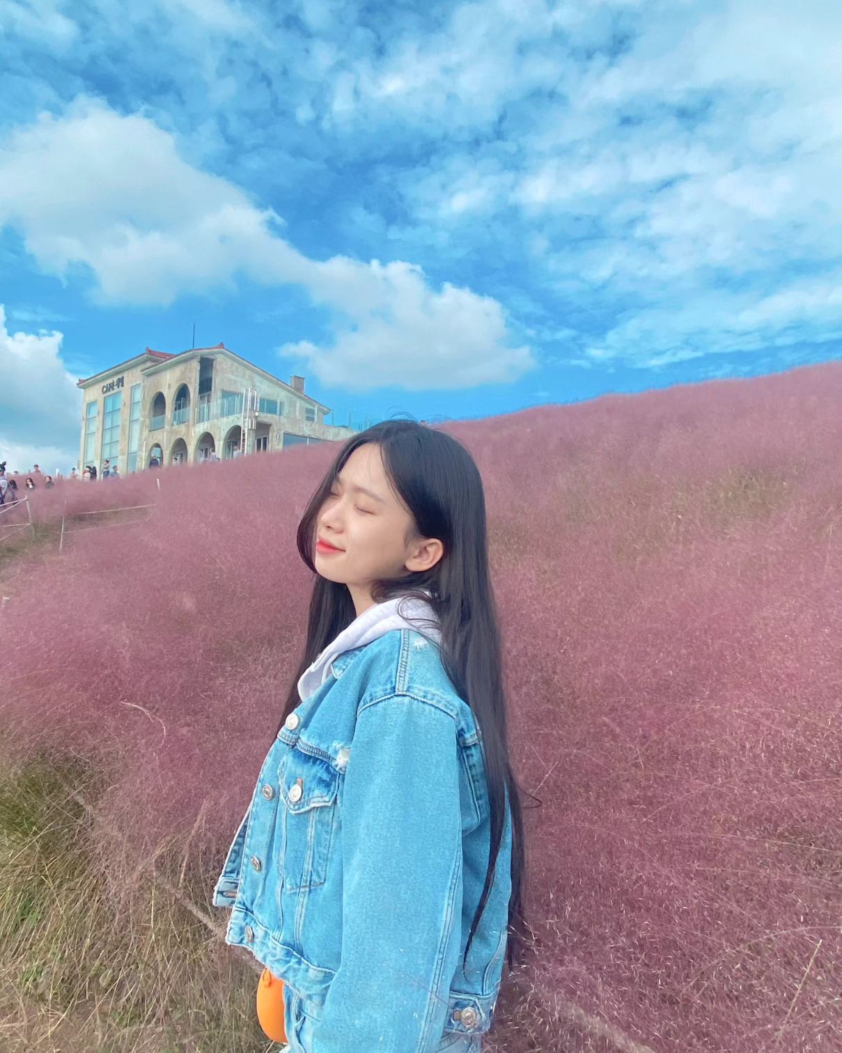 10월의 제주도 세엣🩷
.
.
#11월시작#jeju#여행기록#핑크뮬리🌾💕#행복했던#나의10월