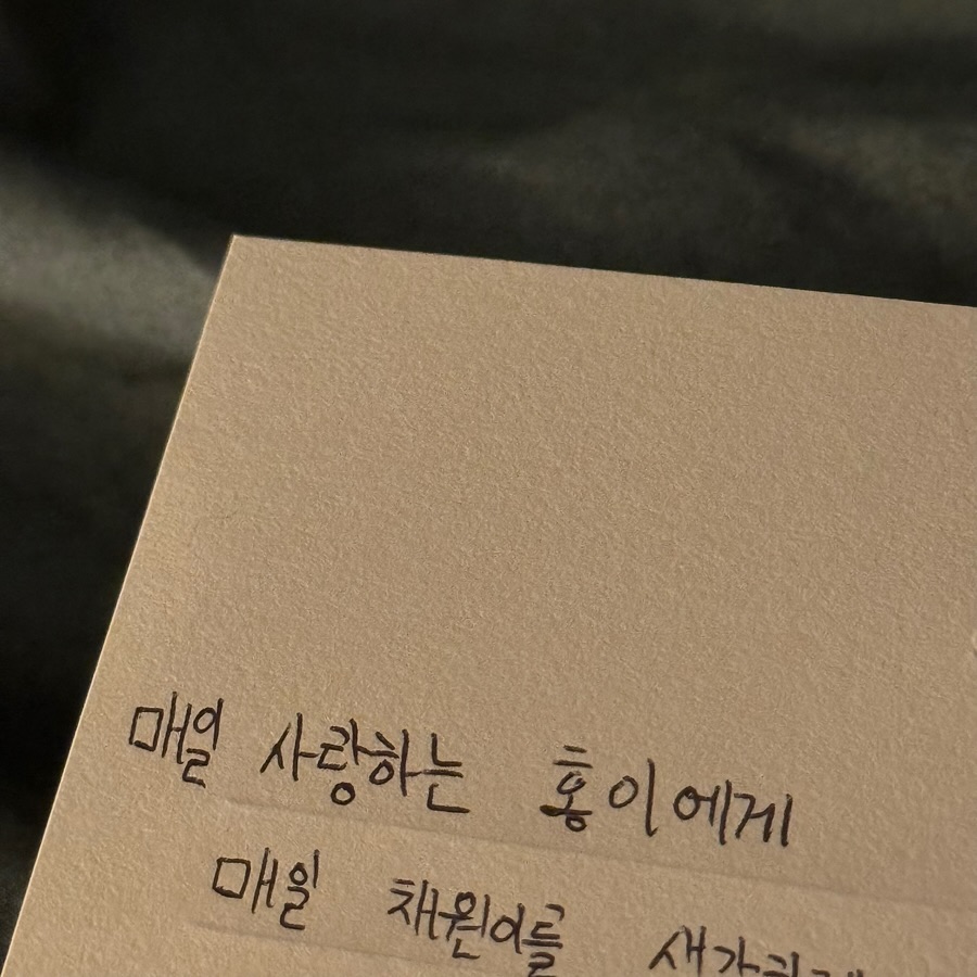 일상의 사랑