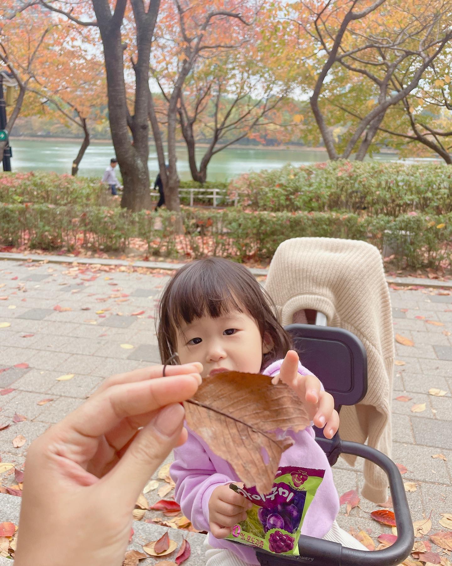 석촌호수
비 예보 있었는데 비도 안오고 날씨도 푸근하고 🧡🤎
윤슬이네 만나서 재밌었던 하루

#석촌호수