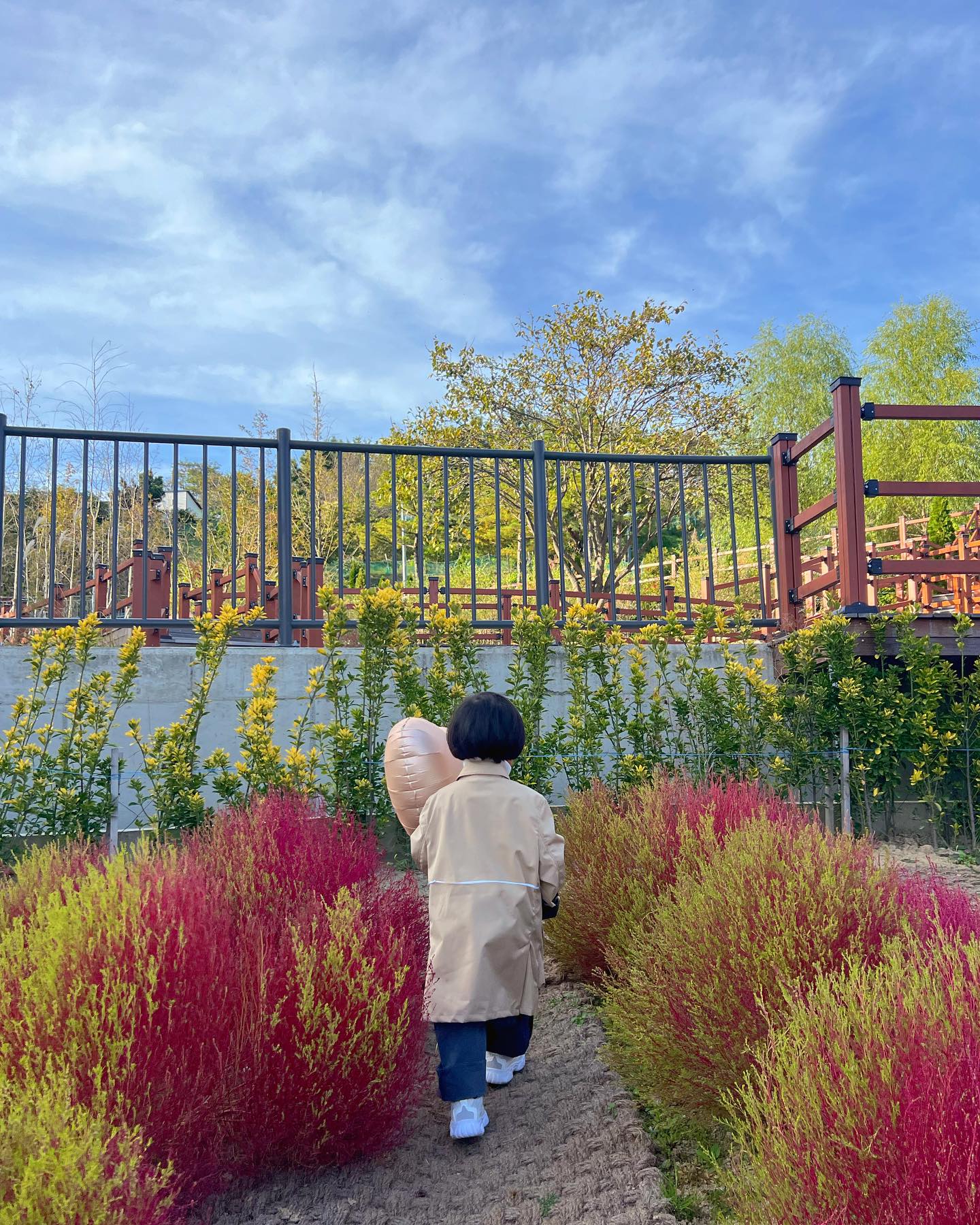 생선사주고 잠깐 핑크뮬리 보고오기 .. 🌾🩷