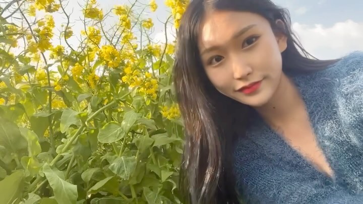 🌼🌪️