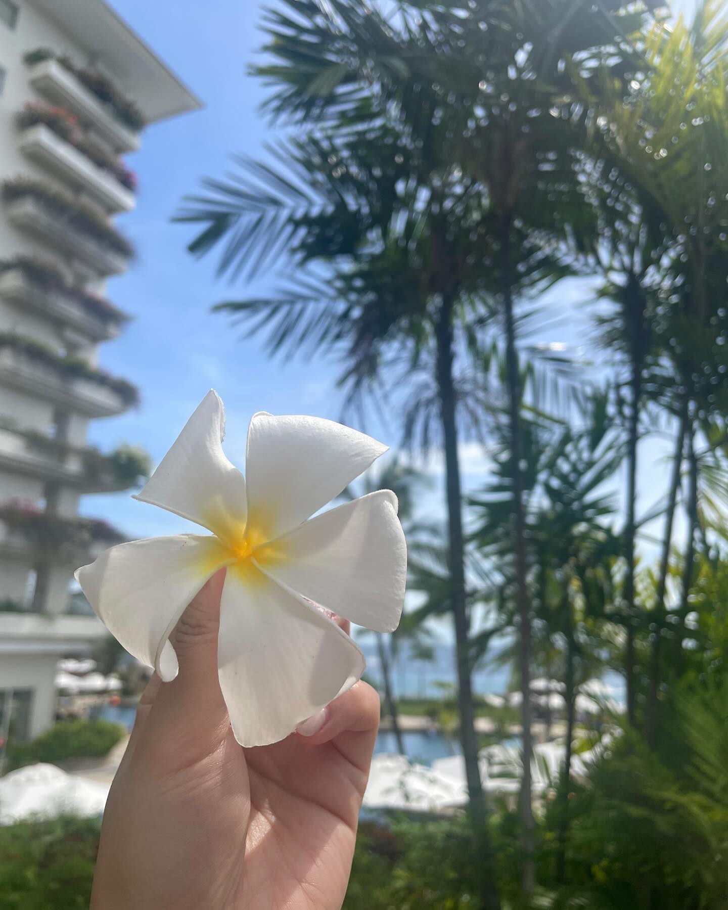 I♥️CEBU
