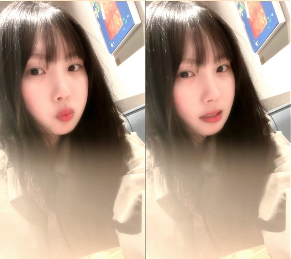 봄봄봄