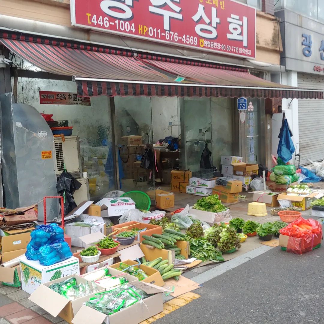 새벽시장이 열린다 
새벽6시부터 약 9시까지 열라는 시장
이길에 노점처럼 쭉 열리는 시장
시장구경은 재미있다
양파가 줄기까지 같이 판매
서울에서는 양파 줄기는 못보는데
쪽파도 양파도 나물도 가득
하지만 그림에떡 무겁고 시들어서 열심히 구경만