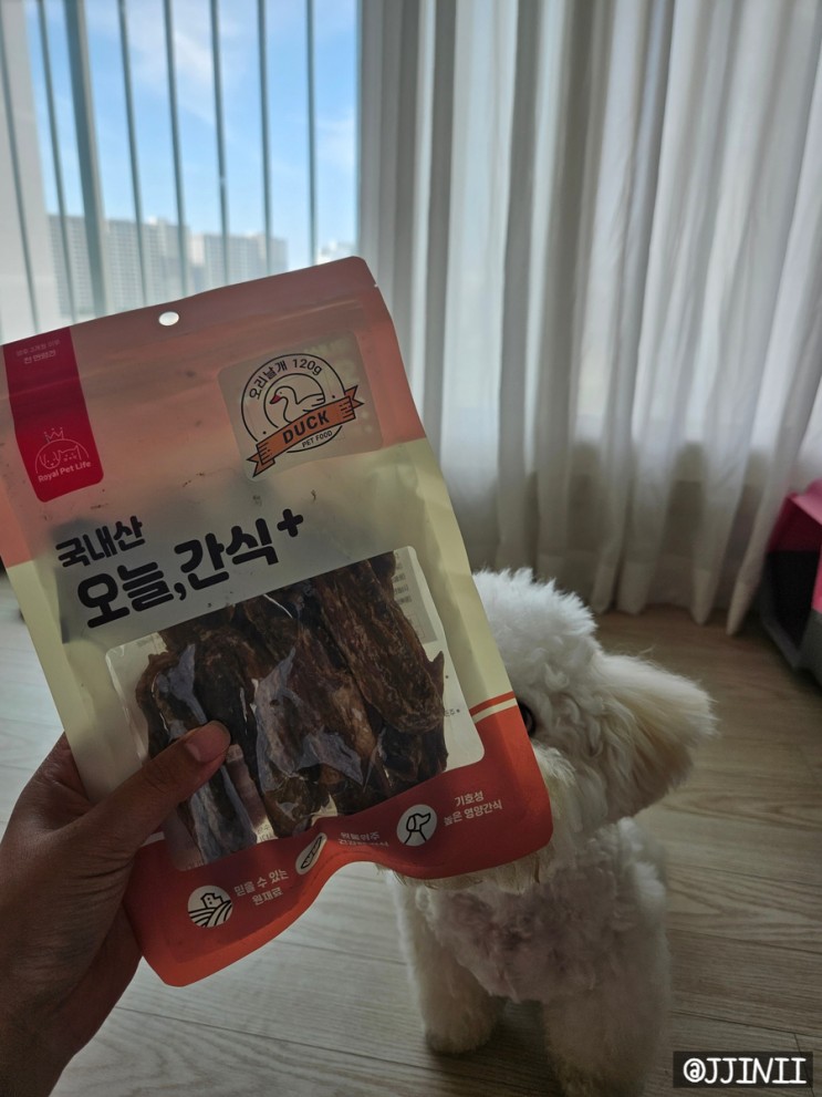 리뷰)로얄펫라이프_강아지 수제간식_오늘간식