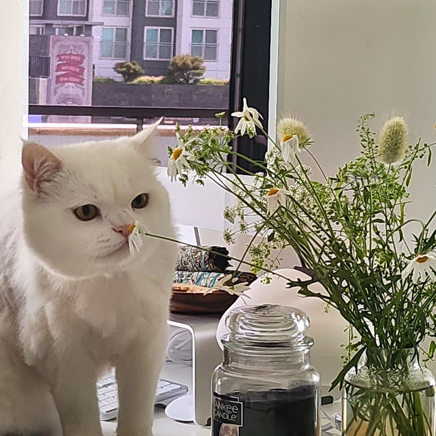 4월을 도둑 맞은 것 처럼 순식간에 지나간줄 알았는데, 
꽤나 여유로운 순간도 있었더라고..☻

🙏🏻유난히 이별이 많았던 4월 내 주변 사람들 모두 아프지 않기를🙏🏻