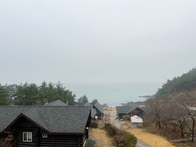 태안숙소 강원도보다 멋진 태안오션뷰 '태안씨엔블루펜션'