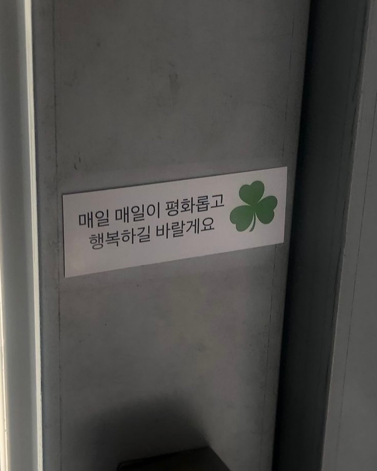 러키 비키니th티~☘️