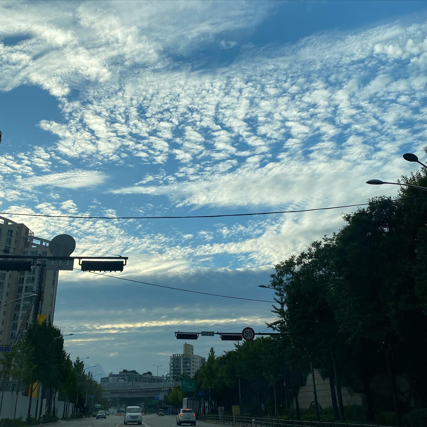 주말하늘☁️
.
#하늘