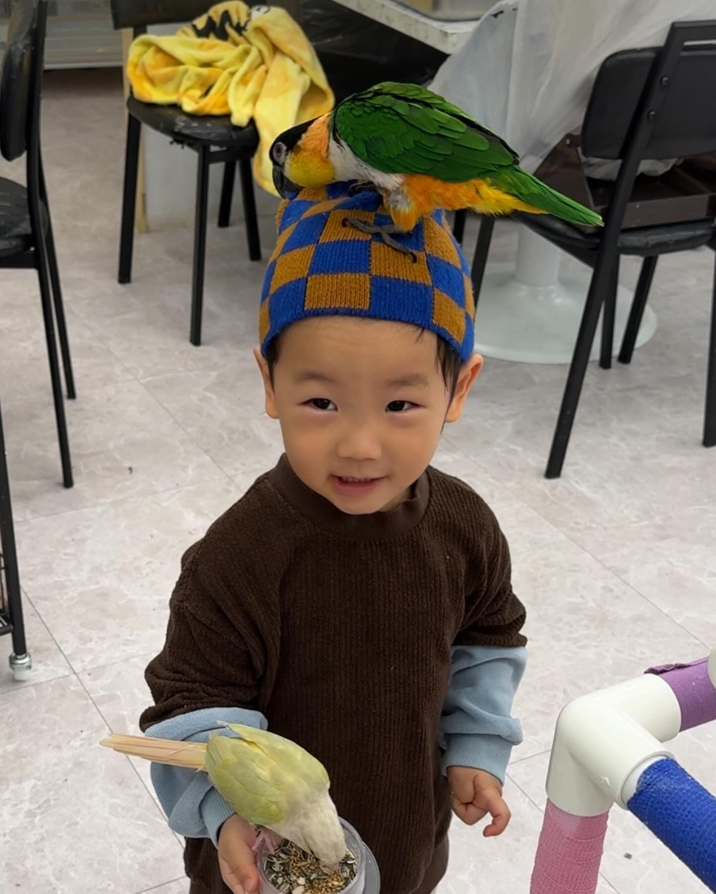 들어가자마자 와우..진짜 🕊️판이네 했던ㅋㅋㅋㅋ
시우기앞이라 안무서운척 해봤는데 사실 좀 무섭더라구요😂
해바라기씨 엄청 잘까는 새를 꽤나 관심있게 관찰하는 시우기
새모이도 잘주고 너가 즐거웠다면 되었다
.
#33개월 #리프패럿