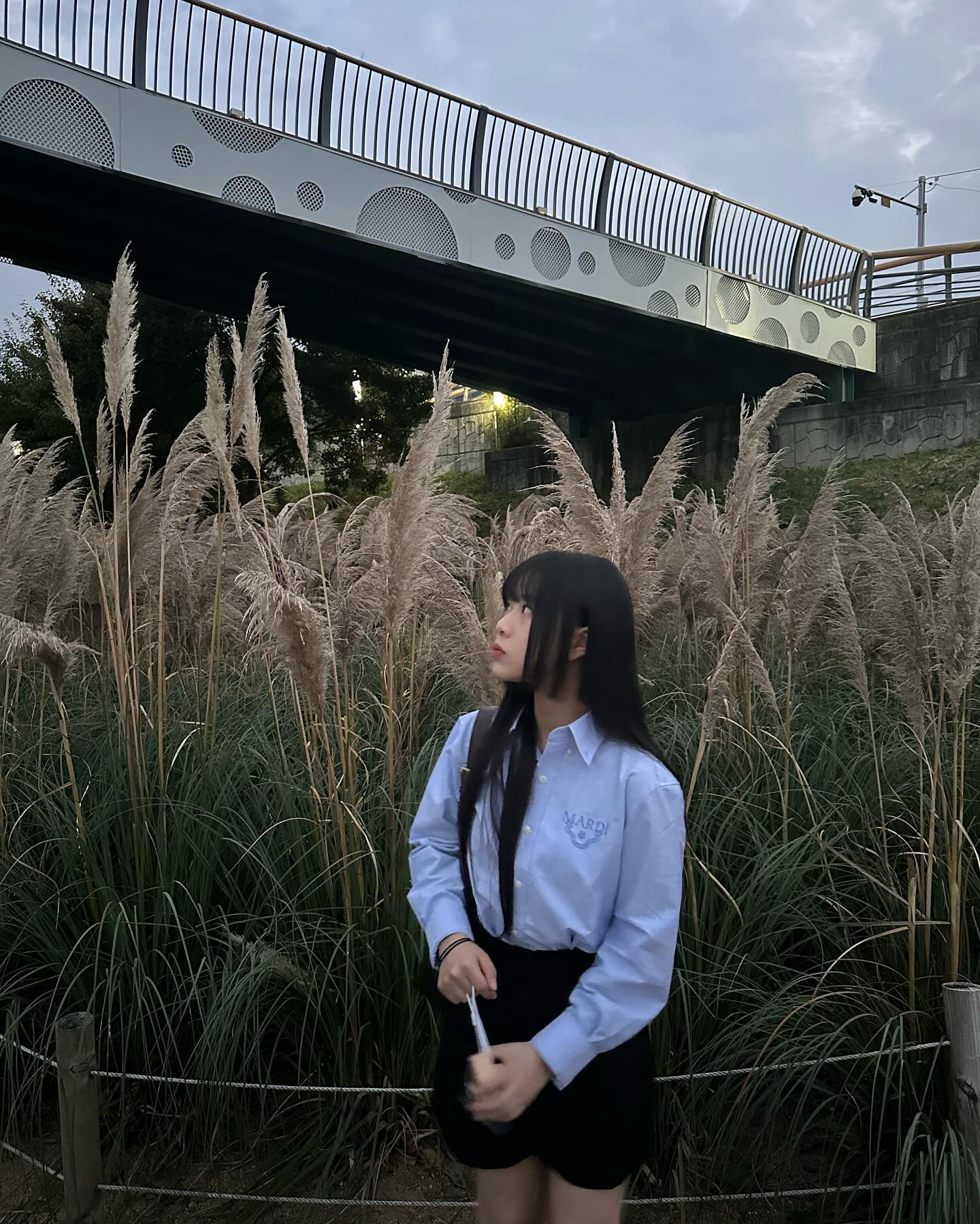 사실 갈대가 더 예뻤어 🌾🍂
마지막 아저씨 모먼트🧔🏻‍♂️ __hyeobeee
