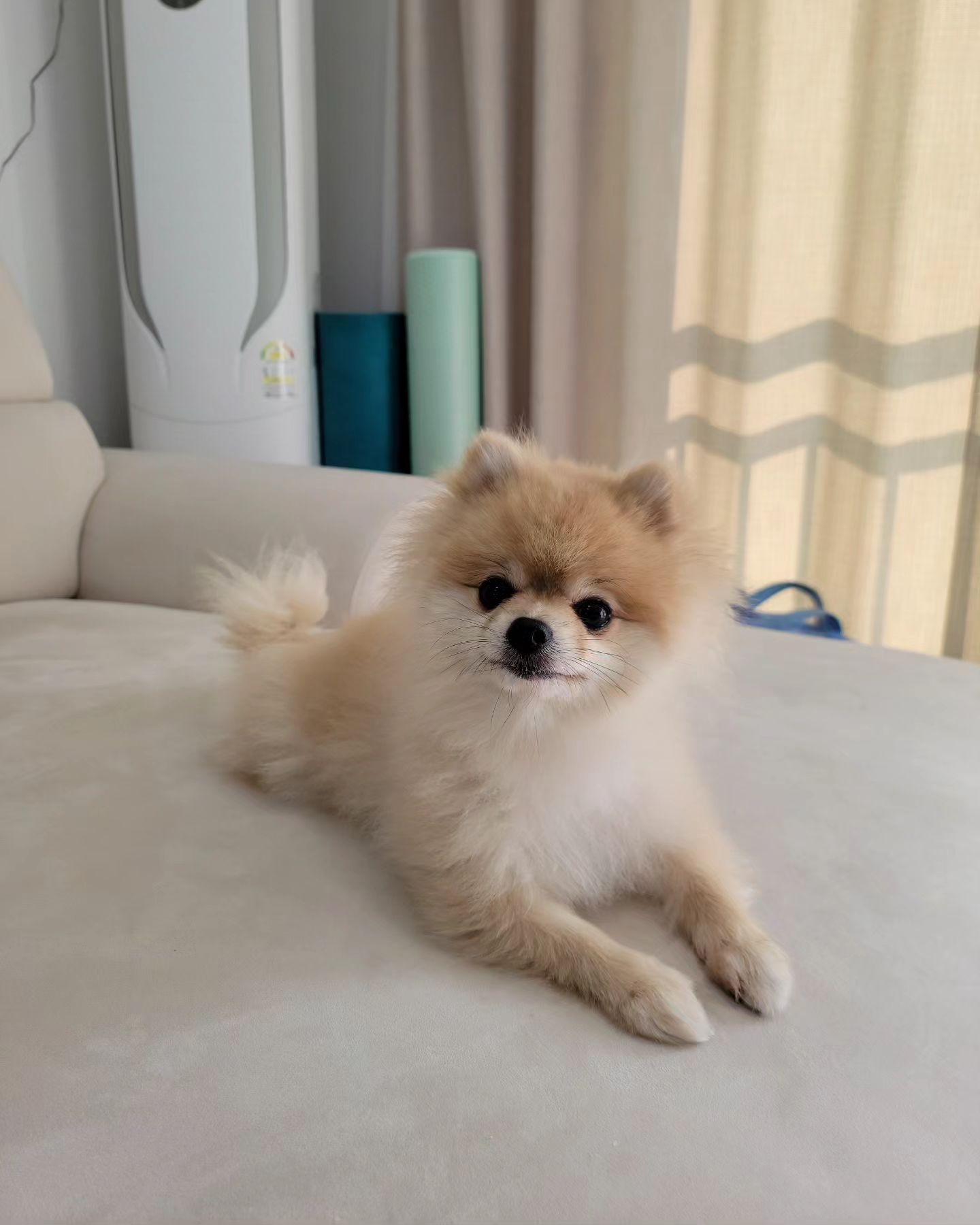 엎드려🙌