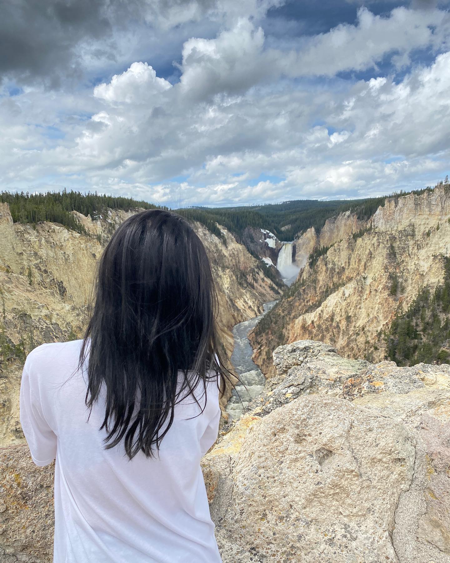 옐로우스톤
#yellowstone