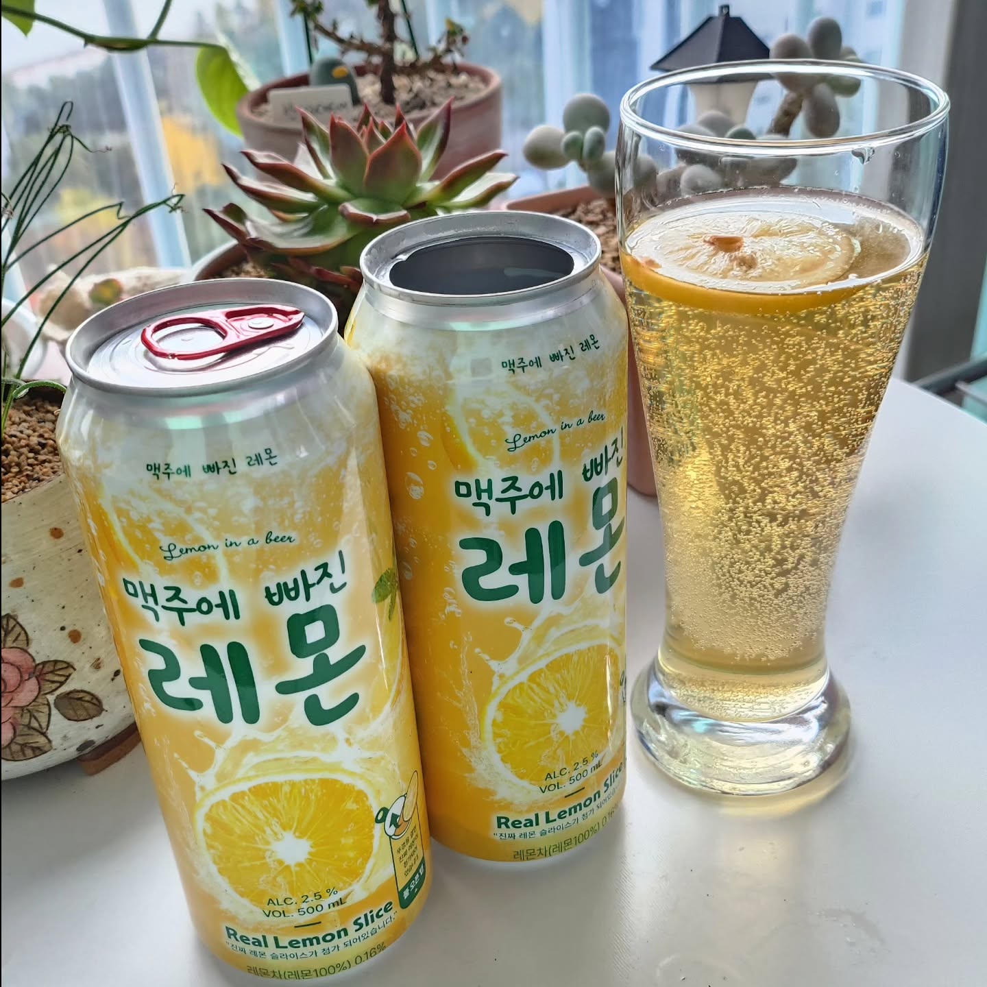 #협찬 인데 찐으로 맘에드는!!
세븐브로이 레몬에 빠진 맥주

맥주러버 저입니다!
레몬에 빠졌다니껭 한번 먹어보겠습니다!!

1세대 수제맥주 브루어리 세븐브로이에서 만들었고,
진짜 레몬 슬라이스가 들어간 맥주로 레몬의 상큼함과 톡 쏘는 탄산감이 매력있는 맥주입니다

뚜껑 전체가 개봉되는 풀오픈탭(왕뚜껑캔)이라 과일 슬라이스를 눈으로 볼 수 있어요!!

전국 세븐일레븐에서 3캔 구매시, 12,000원에 행사가로 구매가 가능하며, 5제품 변질과 안전성을 걱정하는 소비자를 위해 [HACCP 인증 공장 생산]으로 안전하게 생산했다고 해욤👍

과일을 넣는 과정에서 발생할 수 있는 오염을 막기 위해 ‘HACCP 인증을 받은 공장’에서 제조되었는ㄷㅔ요!
여기서 HACCP란!!
식품의 원재료부터 제조, 가공, 보존, 유통, 조리단계를 거쳐 최종소비자가 섭취하기 전까지 각 단계에서 발생할 우려가 있는 위해요소를 체계적이고 효율적인 관리하고 식품의 안전성을 확보하기 위한 위생관리체계를 말해요

맥주러버인이 인정한 레몬에빠진 맥주!!
오늘 저녁 어떠실까요~

sevenbraucraftbeer

#맥주에빠진레몬 #편의점맥주추천 #과일맥주 #편의점맥주 #세븐브로이 #왕뚜껑맥주