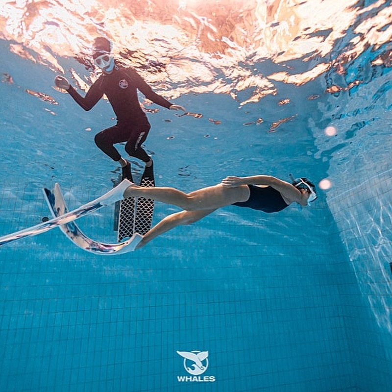 평생 하지말자 한걸 취미로 입문한 순간✨🐬