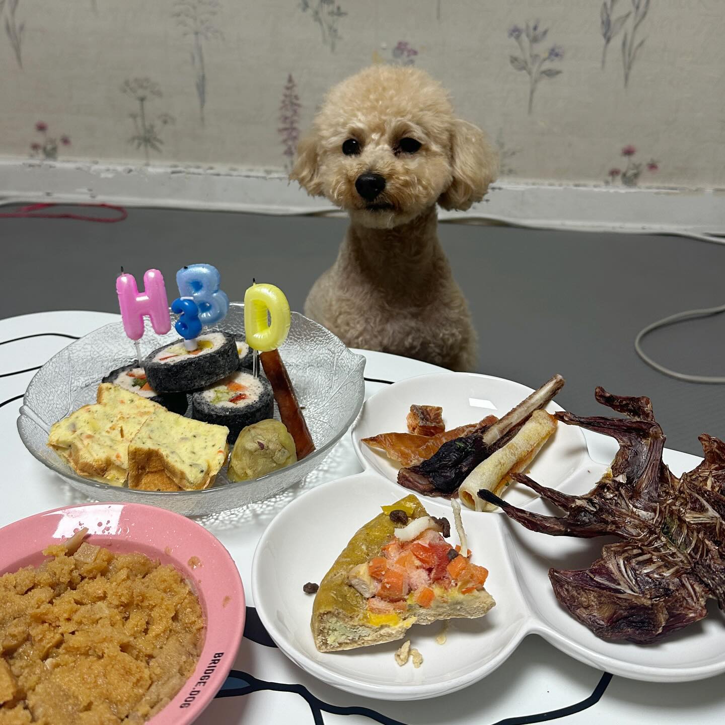 소소한 톨이 3살💛06.26💛

간식 잔뜩 주고, 산책 3번하고, 3살기념 증명사진과 유전병검사🎁

톨이 행복하면 됬어 건강만 하자🙏🏻💛