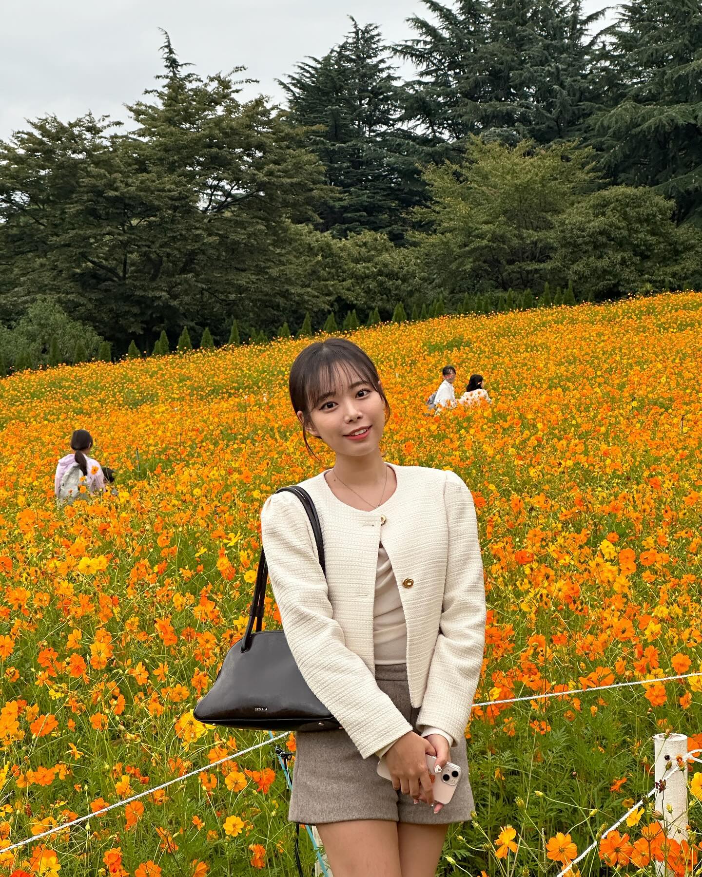 왔다 가을