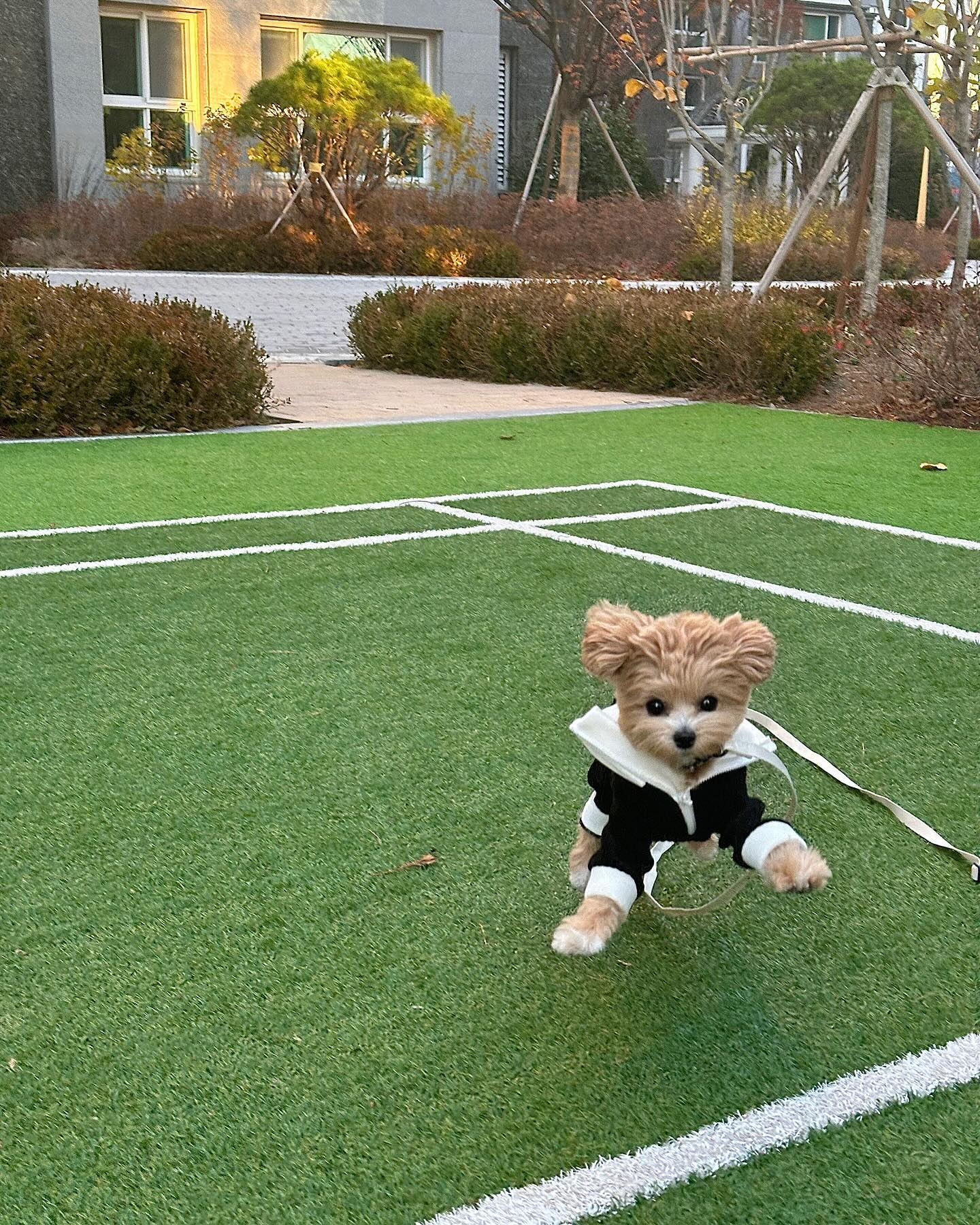 언니-!! 내가 간댜-!!!!!!!! ʕ•ﻌ•ʔ 딱 기달료♥
곰돌이야 모야 🐻 아, 인형인가? 🧸🤎