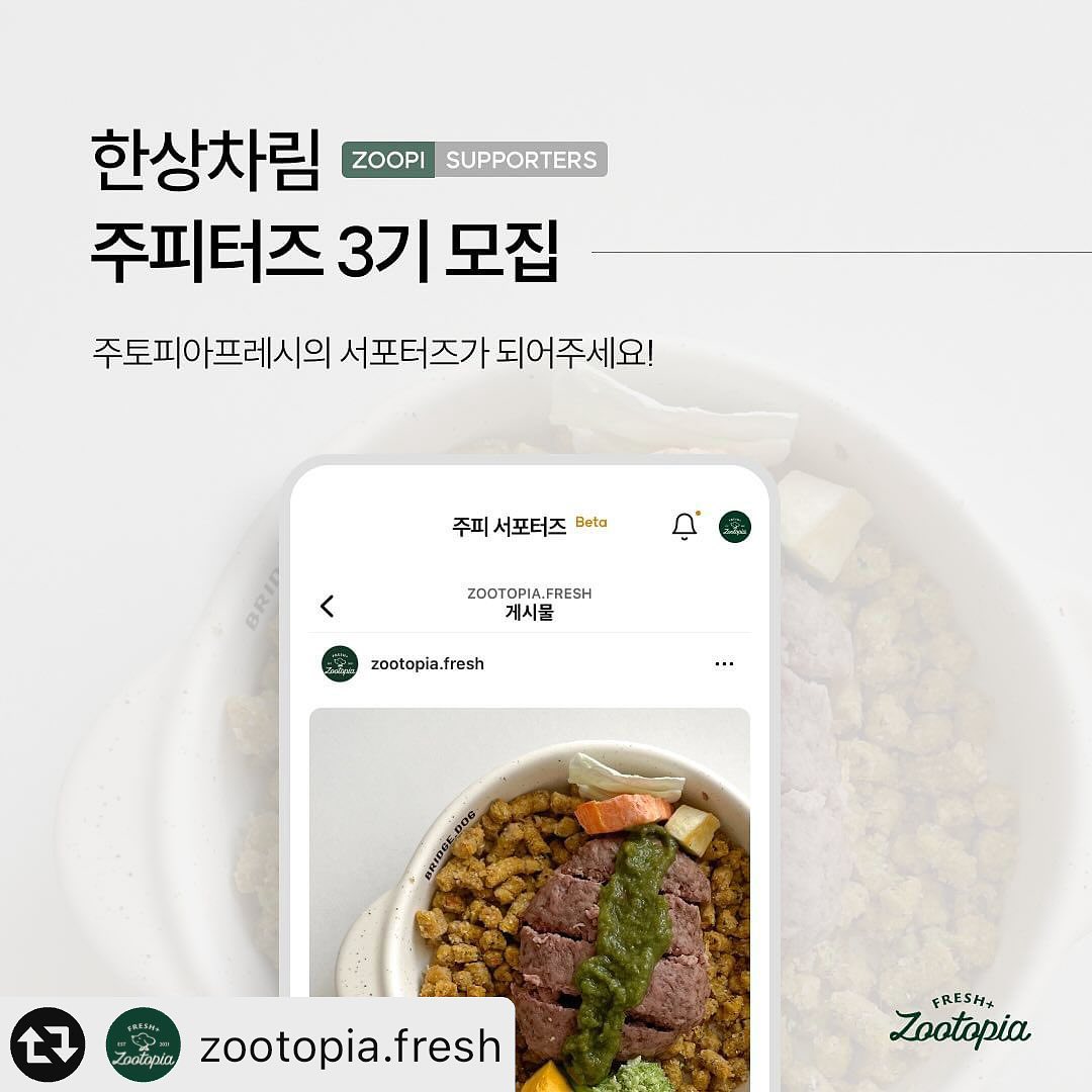 #리그램 - zootopia.fresh by get_multi_repost
🔈드디어 주피터즈 3기를 모집합니다🔈

저희의 서포터즈가 되어주세요🫶🏻
Paws love fresh🌿
주토피아프레시의 슬로건을 소개합니다.
우리도 신선하고 건강한 걸 좋아해요! 라는 의미에요.
반려동물의 신선하고 건강한 식문화를 주도하고 
저희와 방향성이 맞는 브랜드들과 함께 한 걸음 한단계씩 
아이들의 식단 문화를 높여가고자 합니다.

모집 기간 : 11월 21일 - 26일 자정까지
☑️지원 방법:zootopia.fresh 팔로우 필수
☑️게시물 스토리 + 피드 리그램하고 신청 이유를 꼭 댓글로 작성해 주세요
(비공개 계정은 참여가 어려운 점 양해 부탁드립니다.)

☑️주피터즈 활동 내용
반려견 식사를 위한 나만의 팁, 
레시피 공유 찐찐찐 추천 아이템 등 
다양하게 한상차림을 만들어 자주 공유 해 주실 분을 찾습니다!
+블로그를 같이 운영하는 분이라면 더 좋아요🤩

➰주피터즈 혜택🔛활동 기간동안 총 20만원 혜택을 제공!
1. 한번도 안먹어본 아이는 있어도, 한번만 먹은 아이는 없다는 주토피아프레시 시그니처 또또우유를 2주에 한번 배송해 드려요.

2. 또또우유가 쉬는날은 Zootopia only
또또우유X GMCM 슈프요거트를 랜덤으류 보내드립니다.
+
서포터즈 기간동안 입점하는 신제품 체험 혜택을 드립니다🤲🏻

✨서포터즈 활동에 감사한 마음을 담아 
서포터즈 기간 종료 후 앱에서 사용 할 수 있는 
10% 쿠폰 3장을 발급해 드려요.

➿즐겁고 행복한 내새끼의 한상차림 알리기!
친구들에게 줄 수 있는 또또우유 100원 쿠폰 
그리고 10% 쿠폰을 추가 발급해 드려요!

✔️한달동안 저희의 서포터즈가 되어주신 분들 중 
우수 주피터즈 세분을 선정하여 서포터즈 기간 연장과 
클래드파 콜라보 보울을 증정합니다🫶🏻

✔️선정자는 11월 28일 인스타 그램으로 오후 3시에 공지 됩니다!

주피터즈에 많은 관심과 참여,리그램 부탁드려요❤️
핫하고 좋은 브랜드들을 한곳에 모아놓은 
반려동물 신선식품 새벽배송 주토피아프레시에서 
경험해 보고 싶으셨던 많은 브랜드 제품을 
새벽배으로 한번에 경험해 보세요😎

#주토피아프레시 #주피프레시
#반려동물신선식품플랫폼 #강아지간식
#고양이간식 #강아지생식 #강아지화식 #강아지일상