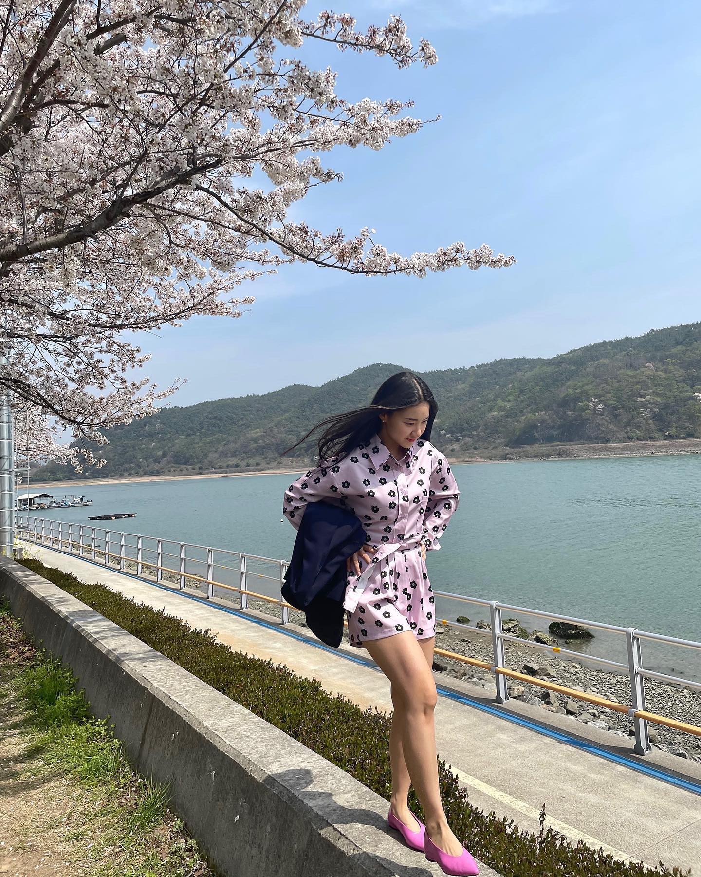 #청룡식당 앞 벚꽃길🌸🌸🌸