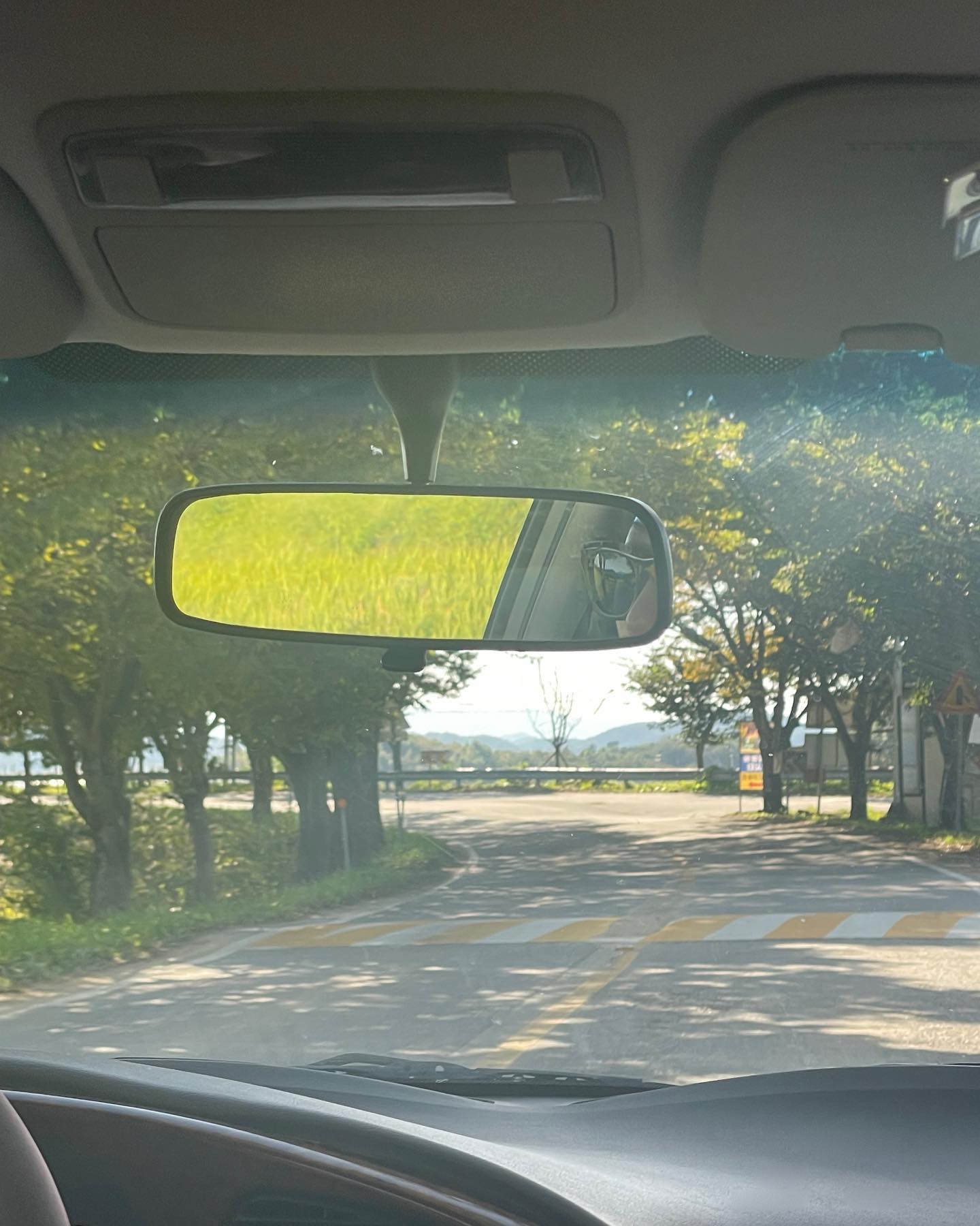 액이랑 장롱면허 꺼내깅🕶️🪴☀️
긴장돼 주글뻔,,,