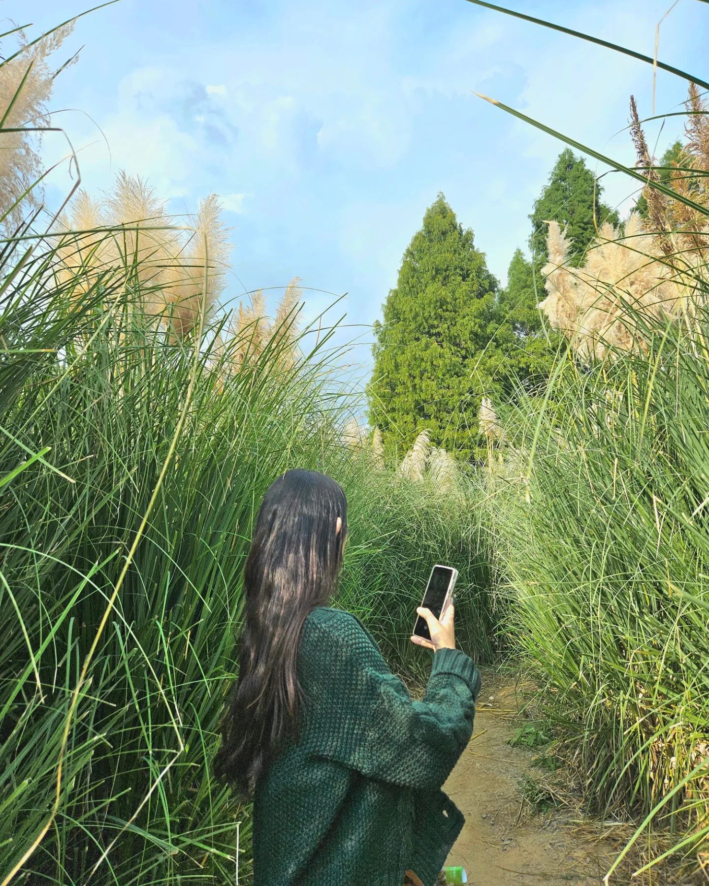 겨울즈음 올리는 가을사진🌾
♡
♡
#태안 #태안여행 #청산수목원 #일상 #거의발레리나