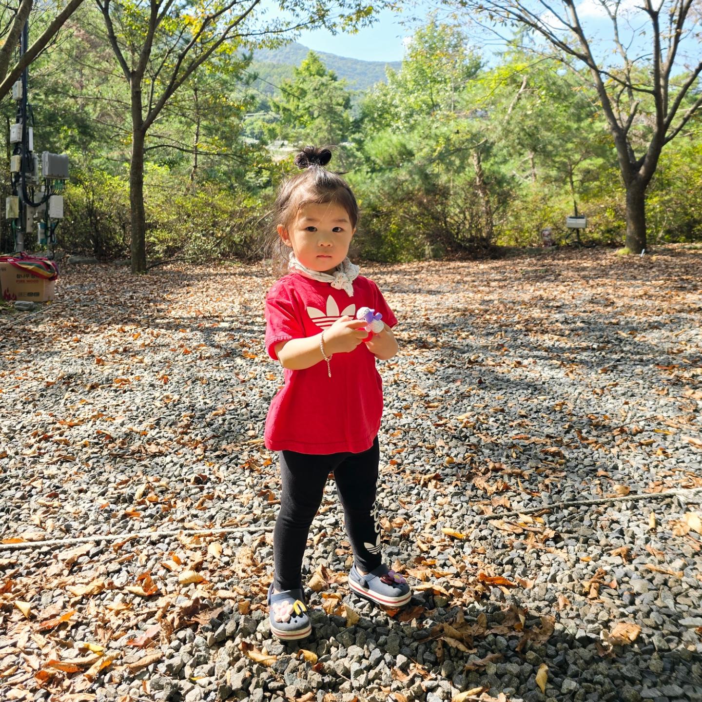 🏕
10.11
밀양캠핑 2박3일💚

주환이는 캠핑가면 리얼 체험하기 바쁘고,
채린이는 이웃 사람들, 멍멍이 찾아가기 바쁨

진짜 다르네 둘이 😝😅

즐거웠던 캠핌 기록!

채린이랑 나랑 이날 이후 일주일째 감기중.🫥

#가을캠핑 #밀양캠핑 #가족캠핑 #추억기록 #일상피드 #남매스타그램 #jang1829