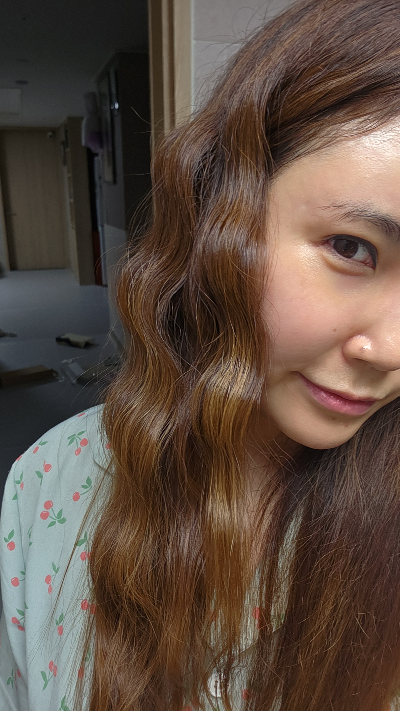 에프에이치아이코리아