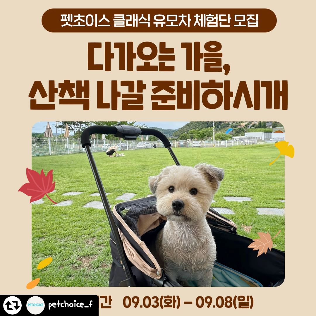 #리그램 - petchoice_f by get_regrammer
.
다가오는 가을🍁 소중한 강아지와 
안전한 가을산책을 위해 꼭 필요한
펫초이스 클래식  강아지 유모차🐶🐾❤

✔️ 1초면 준비 완료 '일체형 유모차'
✔️ 최대 15KG까지 거뜬한 '튼튼한 스틸 소재'
✔️ 안전한 산책을 위한 '원스텝 풋브레이크'
✔️ 특수 시스템 바퀴로 '편안한 승차감'
✔️ 2마리도 거뜬한 넓은 바스켓
✔️360도 회전 앞바퀴로 '편리한 주행'

펫초이스 클래식 강아지 유모차 체험단을 모집합니다🐶💕
반려동물과 외출시 유모차가 필수❣️
선선해지는 가을🍂 강아지 유모차 펫초이스로 준비하세요~!🐩

🐶체험단 신청방법🐶
모집기간: 2024.09.03 - 2024.09.08
제공내역: 펫초이스 클래식 강아지 유모차 1개
체험미션: 선택 1번. 카페 2건, 릴스 2건, 구매평 1건
선택 2번. 유튜브 2건, 릴스 2건, 구매평 1건
인원 : 20명
발표 : 당첨자에 한해 개별 연락드릴 예정입니다!
*모집 인원 미달 시, 내부 기준에 부합하는 인원들만 선발합니다.

[참여 방법]
1. [필수] petchoice_f 팔로우
2. [필수] 본 게시글 리그램
3. [필수] 프로필 링크 클릭 후 폼 작성하기
4. [필수] 참여완료 댓글 남기기
✔댓글에 친구 소환 시 당첨 확률🆙
✔리그램을 하더라도 피드에 사진이 바로 보이지 않으면 무효!

#펫초이스 #개모차 #클래식유모차 #강아지유모차 #애견유모차 #반려견유모차 #접이식유모차 #휴대용유모차 #소형견유모차 #중형견유모차 #댕댕이스타그램 #멍스타그램