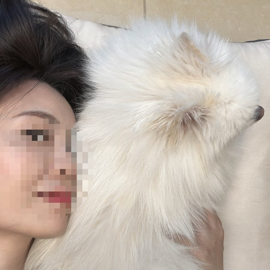 19일만에ㅎ 요 녀석 곁에서 한시도 안떨어진다 부들부들 좋은 감촉 ❤️