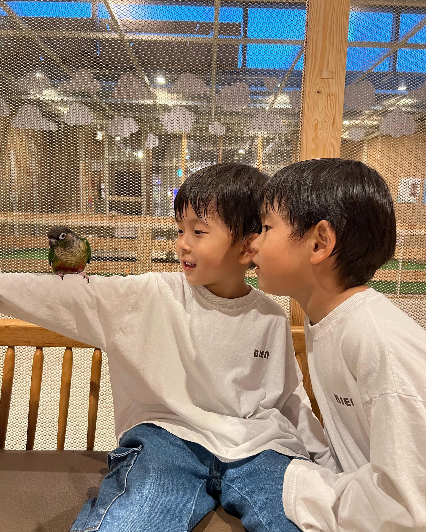 오늘둥이기록
미술 안가고, 3시하원후 바로 키카!
꿀도장 우유도장 다 찍은 보상으로
끝나는 7시까지 열심히 놀기

쥬라리움금천점
종종 둥이들이랑 가는곳인데
새로운 동물친구도 오고
무료오락기도 생겨서 더 좋아짐

4시간이용권 너무 길지않을까 했는데
동물보고,키카놀고,오락하고
밥까지 먹고오니 시간 순삭

세상 신나하고 즐겁게 놀았던 하루 !
다음에도 4시간콜 또 가자 !!

#의둥이#의둥이일상#쥬라리움#키즈카페#쥬라리움금천점#금천구아이와가볼만한곳#금천아이랑#금천구아이랑#서울실내동물원#실내동물원#서울동물원
