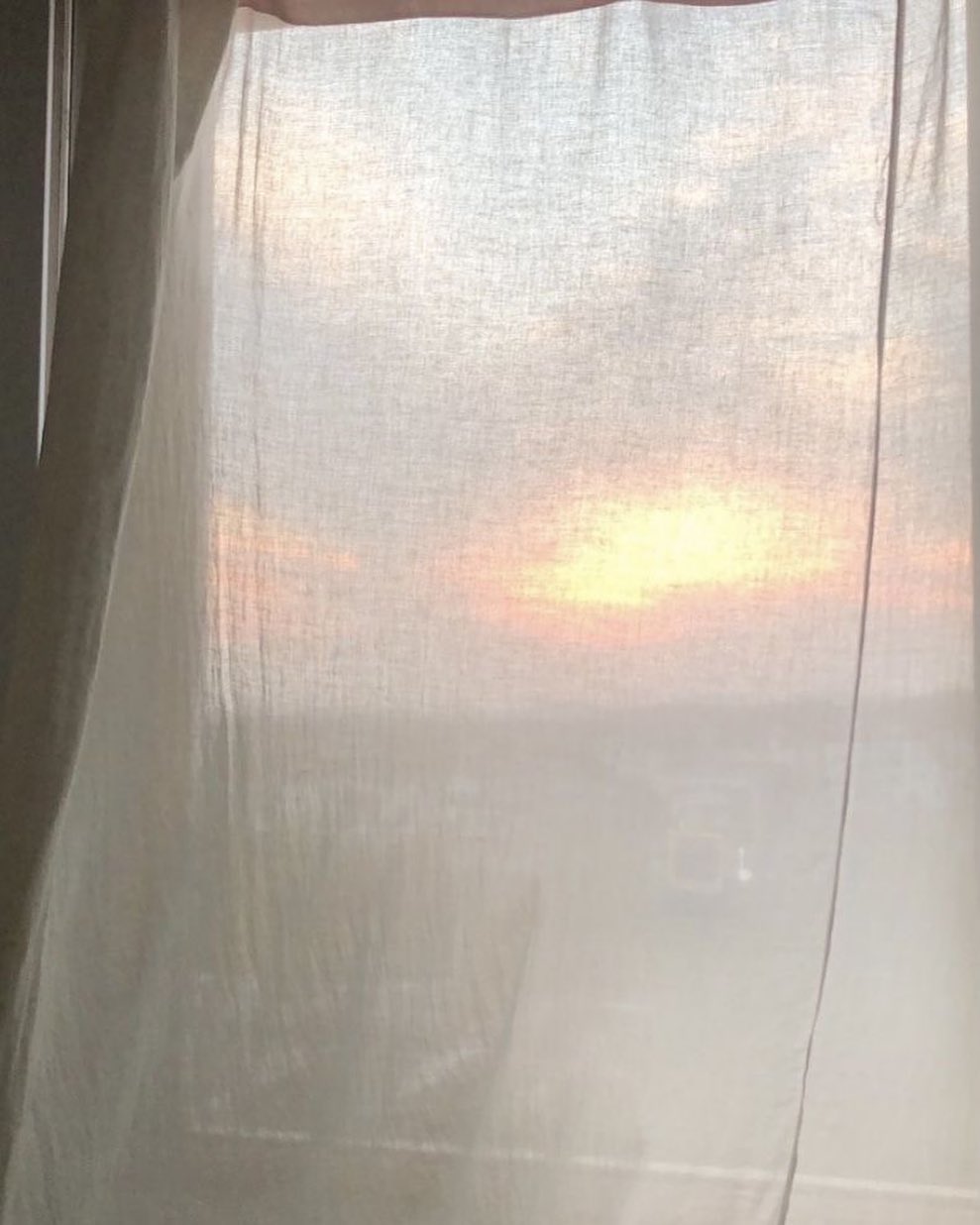 콘텐츠