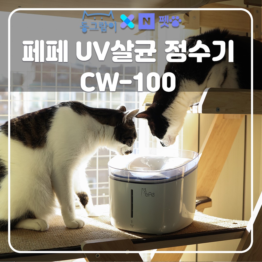 #광고 #네이버펫앰배서더 #페페 #네이버펫 #고양이정수기 #CW100
끔추 집사의 물 고민, 해결템 발견! 💦🐾
우리 집 끔추(끙끙추는 고양이들)는 변비쟁이라 음수량 늘리기가 큰 숙제예요. 펫밀크, 습식캔 다 시도했지만 실패... 결국 가장 중요한 건 물 자체의 음수량을 늘리는 것이더라고요!
그래서 제가 선택한 건 페페 UV 살균 IoT 정수기 CW-100!
✨ 이 제품이 특별한 이유 ✨
✔ UV 살균과 3중 정화 필터
깨끗하고 안전한 물! 먼지, 화학물질까지 꼼꼼하게 걸러줘요.
✔ IoT로 스마트 관리
물 오염도와 수질(TDS)을 실시간 확인
물 부족 시 공회전 방지! 전원 차단 기능으로 화재 걱정 X
필터 교체, 펌프 청소 스케줄 관리까지 어플이 알아서 척척
✔ 조용한 저소음 설계
낙수 소음 없이 잔잔~한 물 흐름. 밤에도 걱정 없어요.
✔ 편리한 세척과 가벼운 무게
분리 세척 가능하고 무거운 도기 정수기와 달리 간편 관리 OK!
💡 끄적끄적 팁
밝은 LED가 신경 쓰인다면 방해금지모드로 해결 가능!
처음 물 넣을 땐 TDS 기준치를 확인하고 비교하세요.
💚 끔추 같은 변비 고양이를 둔 집사님들께 강력 추천!
페페 정수기로 우리 아이들 건강을 지켜주세요. 😊