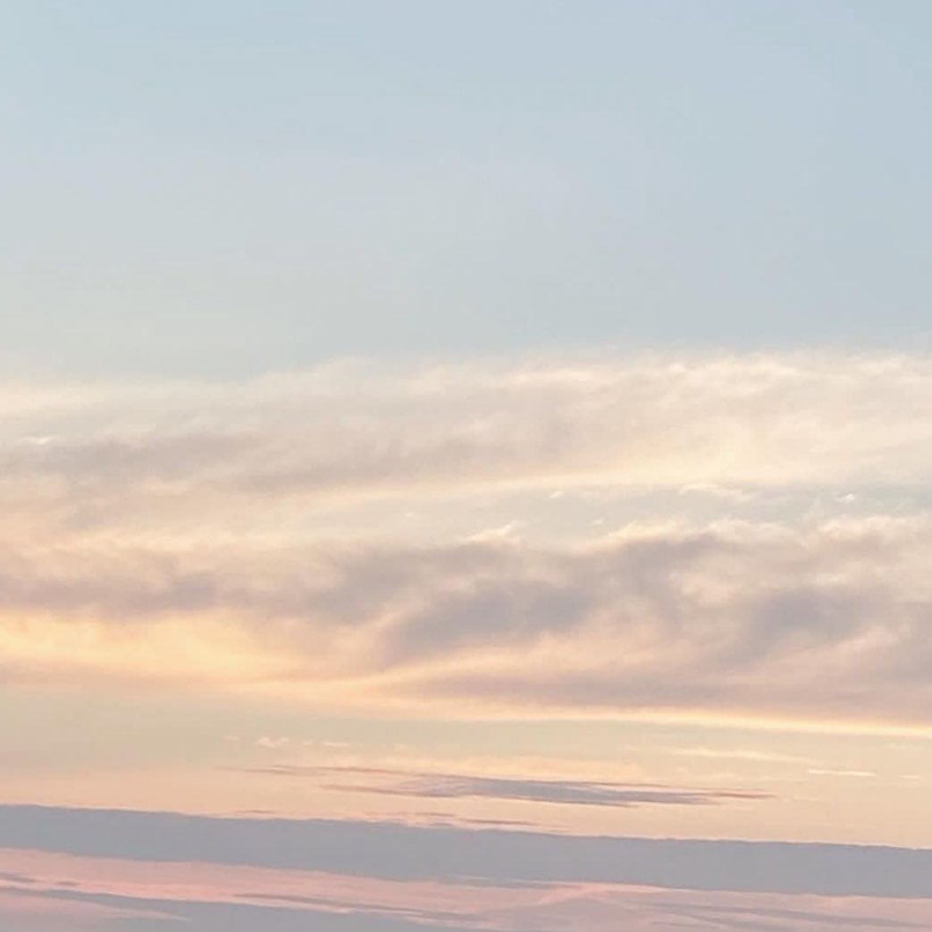 콘텐츠