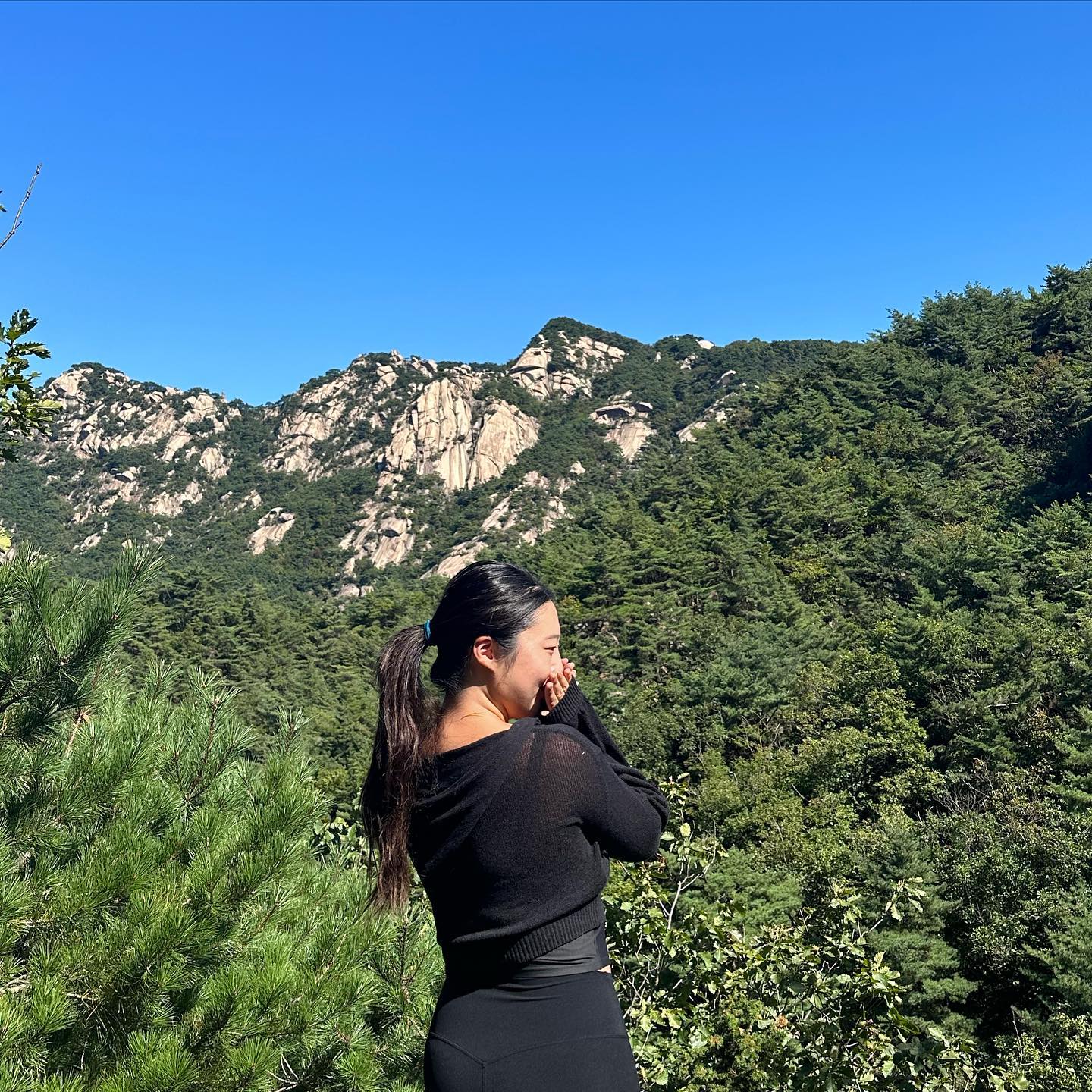 콘텐츠
