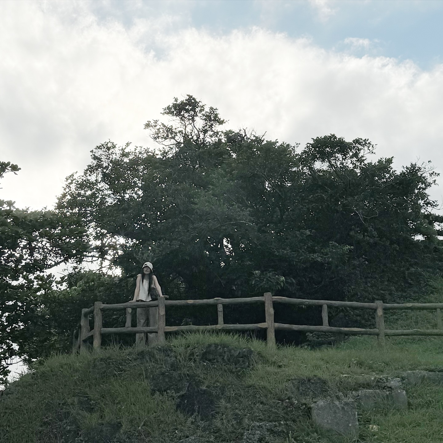 콘텐츠