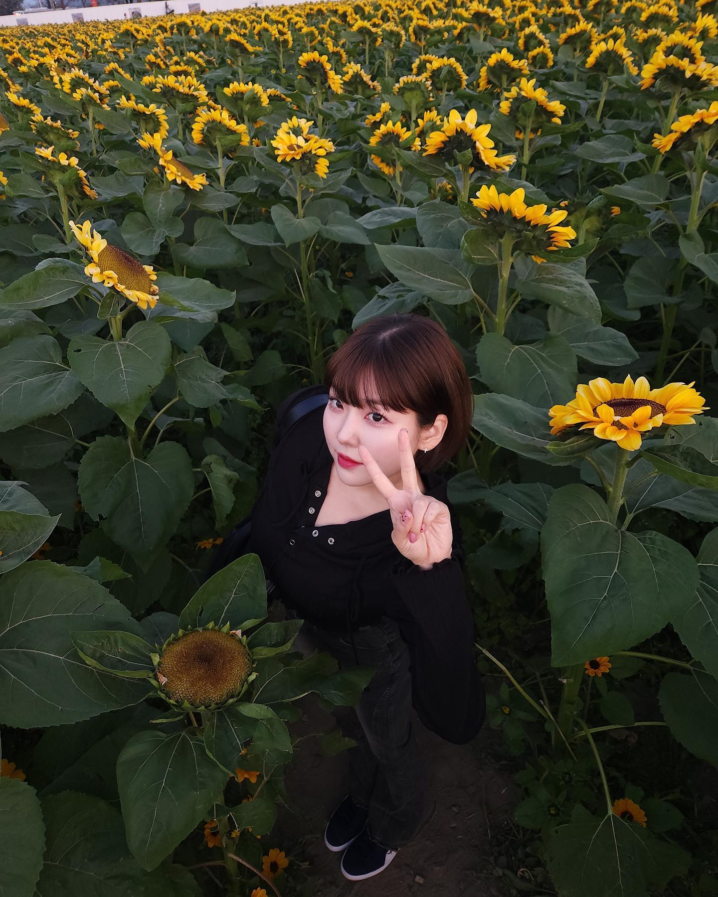 🌻