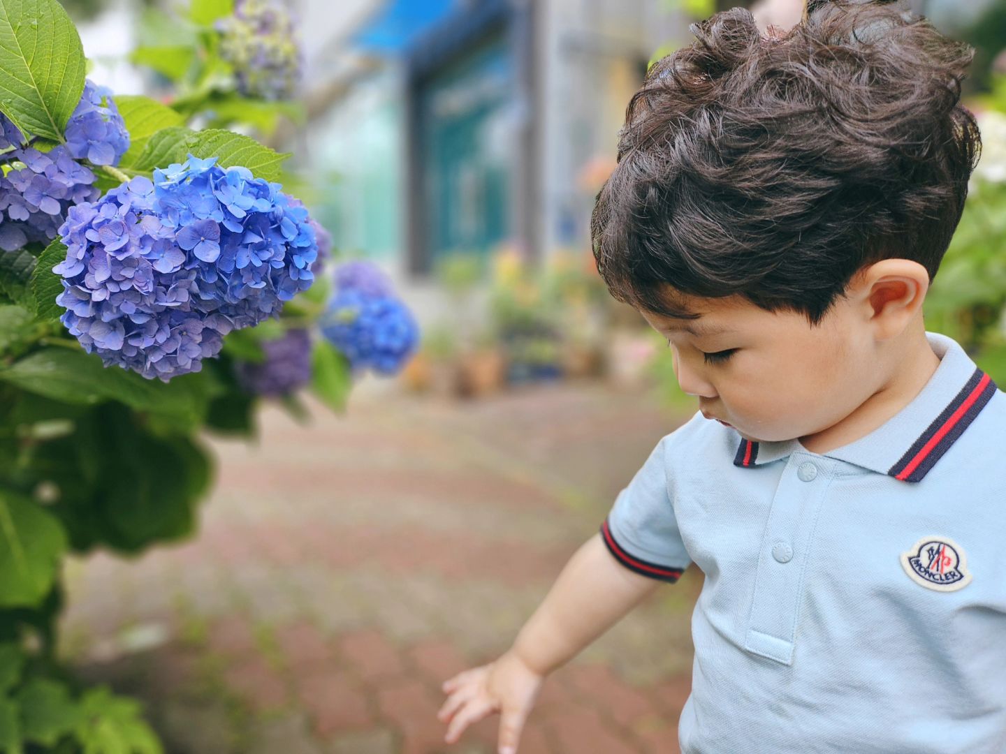 아빠가 자주 갔던 카페 앞 가득 핀 수국 🌱
그냥 지나칠 수 있나요 아이 예뻐
습하지만 테라스에 자리 잡았는데
벌이 감히 우리 준서 미간에 앉아버림 🐝 
식겁하고 가장 깊은 곳으로 자리 옮겼다.
준서 쏘였으면 어쩔뻔😱
승주이모가 사준 예쁜옷 입고
쇼핑도 하고 밥도 먹고 바나나쥬스도 마시고...
그런데 내년에도 입을 수 있을까요?
올해 예쁘게 잘 입을게요🫶🏻