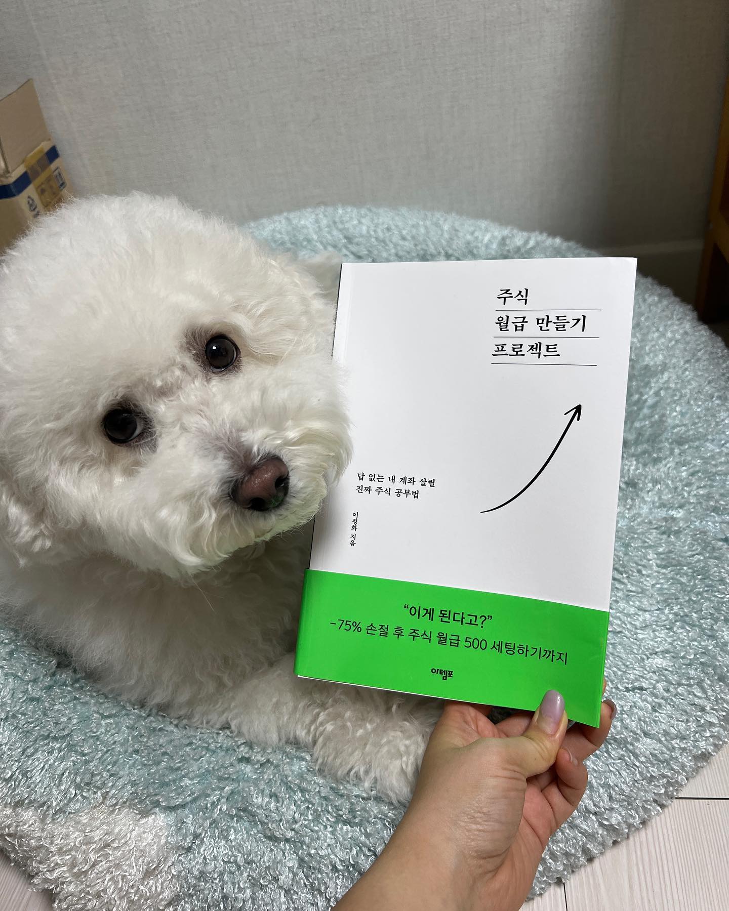#내돈내산
#주식월급만들기프로젝트
#투자서추천 
#2024꼭읽어야할책

진짜 다들 추천!!

친한지인의 직접 겪은 주린이시절부터 현재까지 그리고 이 책을 써내며 고뇌하던 모든 모습까지 다 볼 수 있었기에 믿고 따라해봐야지 무한믿음이 가는 책 ㅎㅎ
그렇게 하라고하라고하라고해도 안하던 내가 언니,,나 드디어.. ㅋㅋㅋ
언니책나오고 책읽고 이제야 해볼까🤣 
이제라도 시작해볼까해 헿

책 나온거 정말정말 넘모넘모 추카해🥰