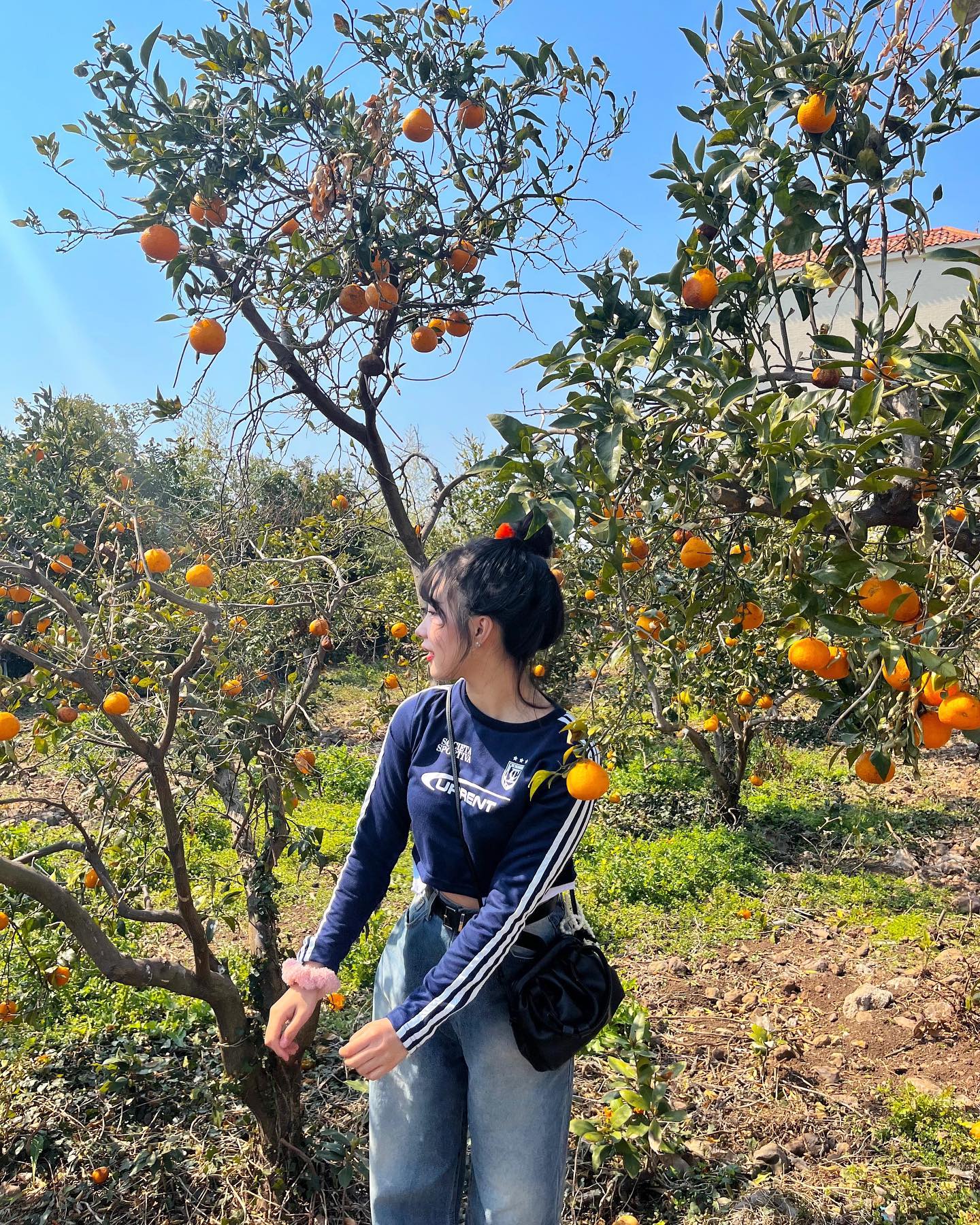 나 제주 사랑하네••😽🍊