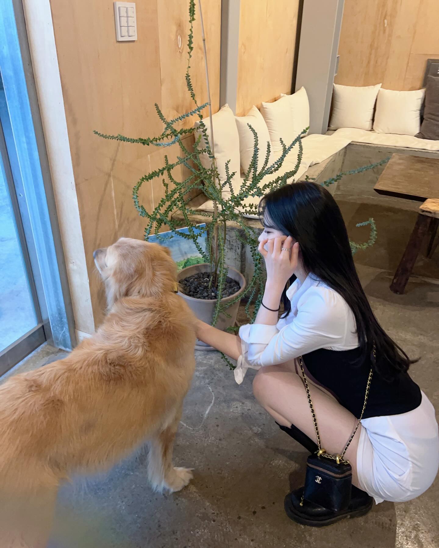 콘텐츠