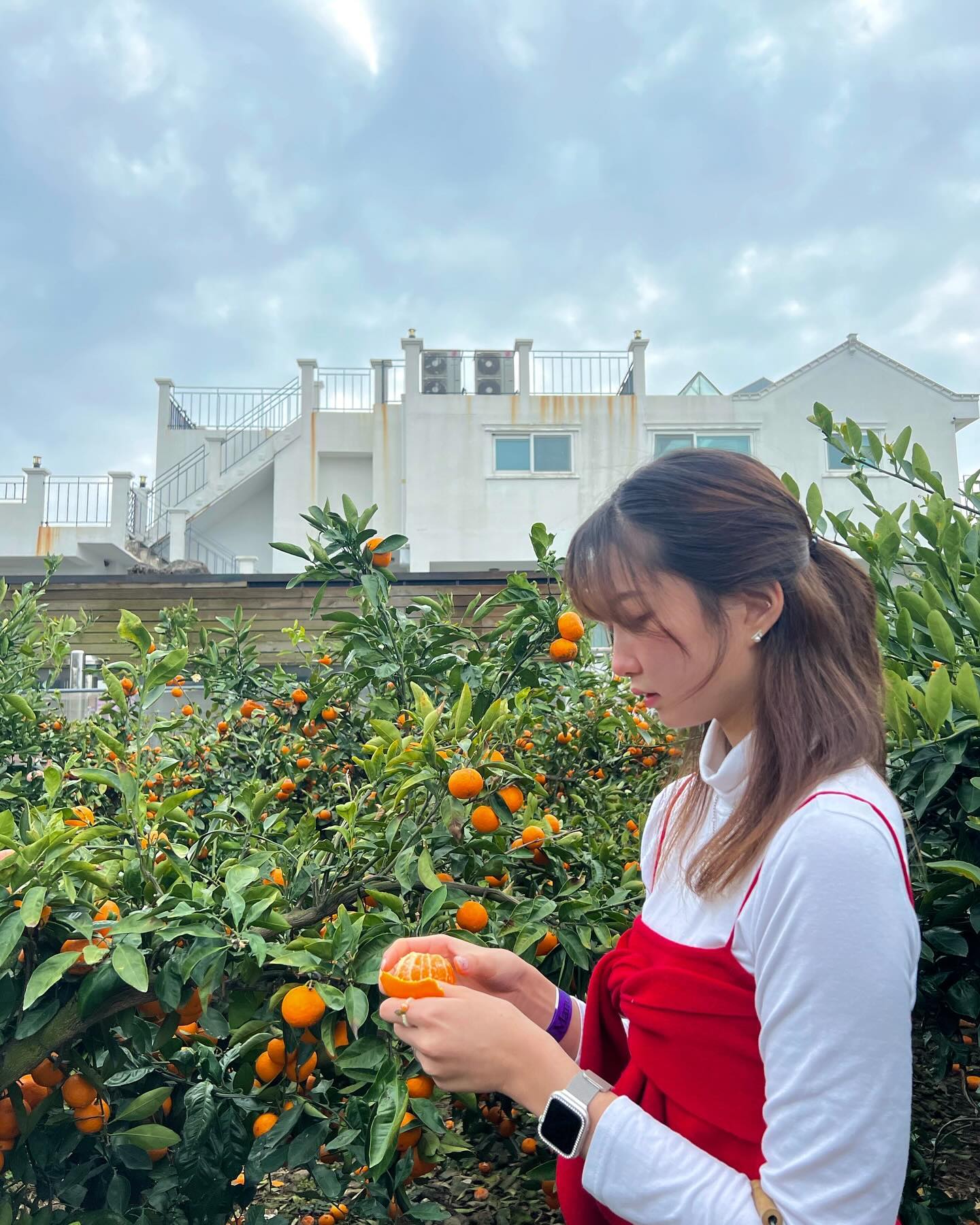 🍊🍊