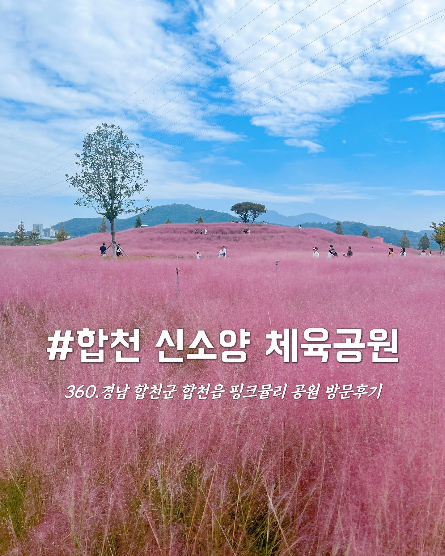 ✿합천 신소양 체육공원 핑크뮬리 방문후기

⠀
⠀
⠀
⠀♡˚₊·『Today's Review』˚₊·♡
☑입장권,주차비 무료
☑복숭아 아이스티(1) 3.0 ☑슬러쉬(오렌지맛)(1) 3.0
☑아이스 아메리카노(2) 8.0 ☑닭꼬치(데리야끼)(2)10.0
☑젤라또(요거트)(1)4.0 ☑핫도그(1)3.0

⠀
⠀
⠀
⠀
⠀
⠀

 오늘은 추석연휴를 맞아 가족과 함께 부산 근교 여행을 다녀왔습니다. 찾아가시는 길은 23번 국도를 타고 가다보면 신소양대교 오른편에 위치해 있어요. 저도 핑크뮬리 공원은 처음 방문해 보았는데, 개화률 70%이상으로 공원가득 핑크색 솜사탕 같은 푹신푹신한 핑크뮬리가 마치 동화속에 들어온 것 처럼 너무 아름다웠습니다.  공원부지도 넓고 주차장도 아주 넓은데다 무료입장 무료 주차가 가능해서 너무 좋았습니다. 핑크뮬리 뿐만 아니라, 구절초, 가우디(나비바늘꽃)등 예쁜 꽃들이 많았어요. 2시간 정도 아이랑 걸으며 킥보드도 타고 인생샷도 찍고 푸드트럭에서, 아이스아메리카노, 복숭아 아이스티, 닭꼬지, 핫도그 등등 맛있는 간식도 먹고 즐거운 추석 연휴 보내고 왔습니다. 방문하시는 분들은 날씨가 덥고 자외선이 강렬하니 썬크림, 우산, 모자 등등 꼭 챙겨가세요! 합천 여행 필수 코스로 예쁜 가을 꽃 사랑하신다면 꼭 한 번 방문해 보세요!
⠀
⠀
⠀
⠀
⠀
⠀
⠀
────────────────────────────
▪️운영시간: 상시
📞055)930-3543,055)930-3544
🩷합천 여행 travelhc_official 
📍경납 합천군 합천읍 영창리 898
✔️화장실, 안내부스, 먹거리 장터(푸드트럭, 지역특산물 판매) 운영 중
🎀9월 30일~10월 15일 핑크마켓&체험부스(소상공인 수제가공품 마켓)
🌼10월1일~10월 29일 에어바운스 설치(공휴일 운영)

⠀
⠀
⠀
⠀

 

#합천여행 #신소양체육공원 #핑크뮬리 #Pinkmuhly #ピンクミュリー