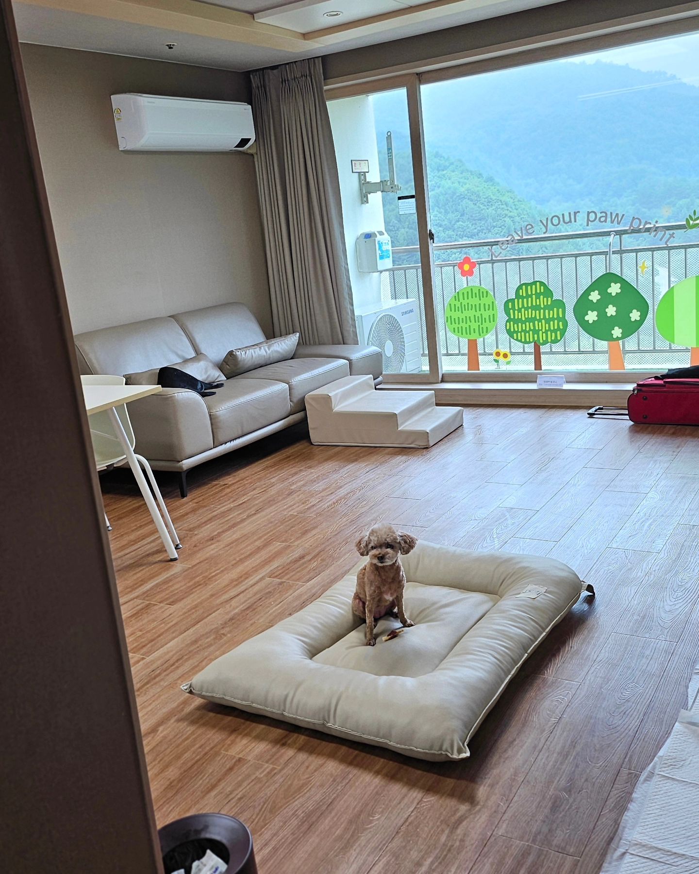 #한화리조트평창 
#멍패커
#애견동반
#대관령한우평창
#연어테린

별 즐거웠별🐶