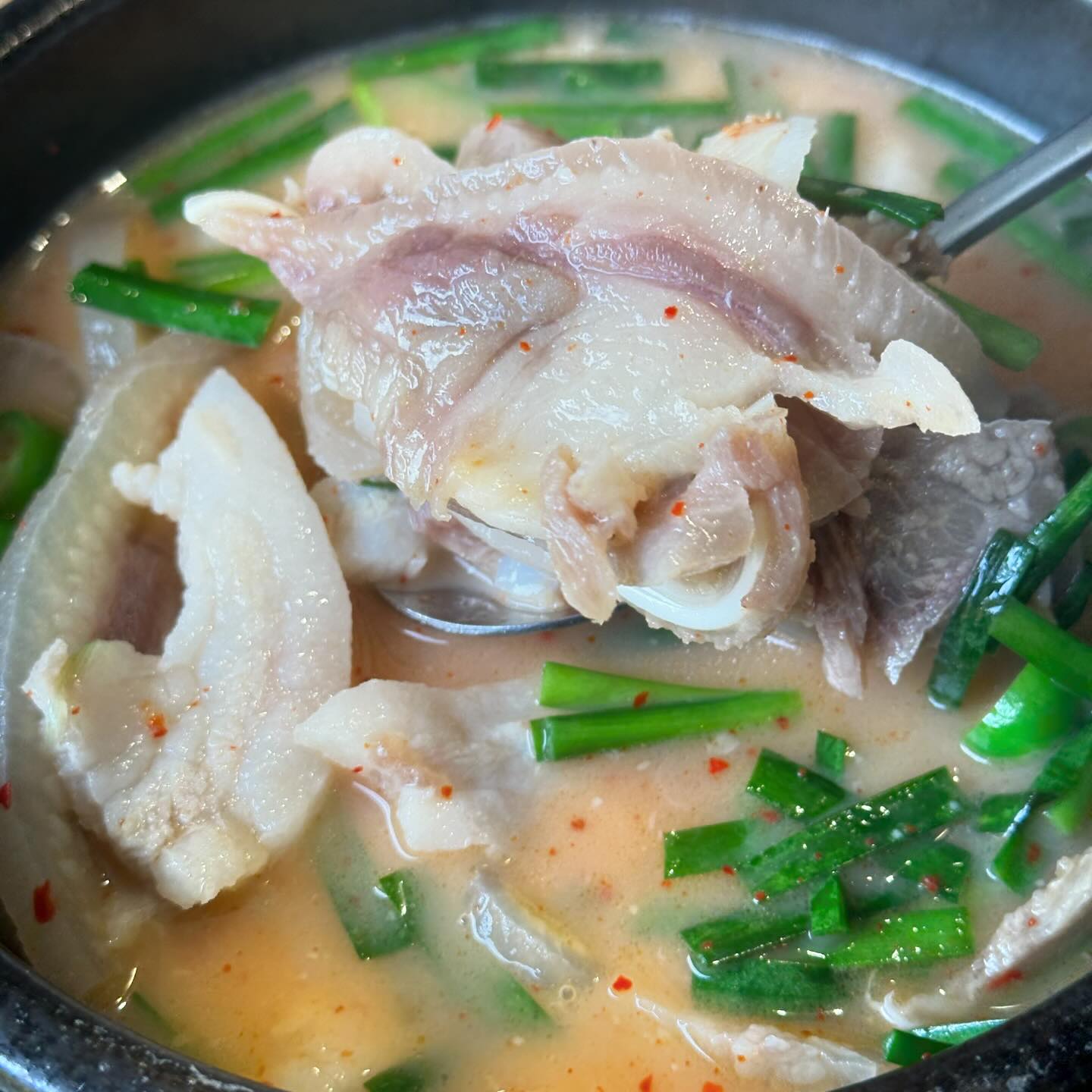 #국밥

#영평 에 있는 #국밥집
11000원에 맛보기 순대!
고기양 실화인기요!!!

특을 잘못시켰나 했는데,
특이 13000원 따로있음

맛있어서 두번째로 간날!

#양평맛집#돼지국밥#국밥맛집
#먹팔 #먹스타그램#고기만
#고기#고기국밥