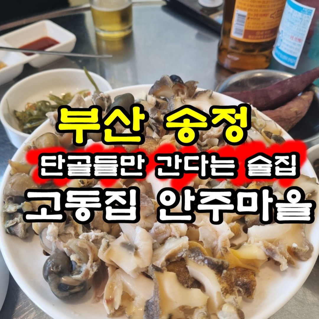 부산 송정해수욕장 현지인 맛집
단골들만 찾는다는 고동집 안주마을
계절음식포차 답게 수족관에 싱싱한 해산물이 가득!!

내가 좋아라 하는 밀고동 눈으로 확인 후 주문완료
내장부터 추르릅~~

포차분위기로 편안하게 일잔하기 좋은 송정술집

#부산고동집 #송정술집 #송정해수욕장술집 #고동집안주마을 #부산맛집 #부산술집 #송정맛집 #송정고동집안주마을 #부산여행 #밀고동